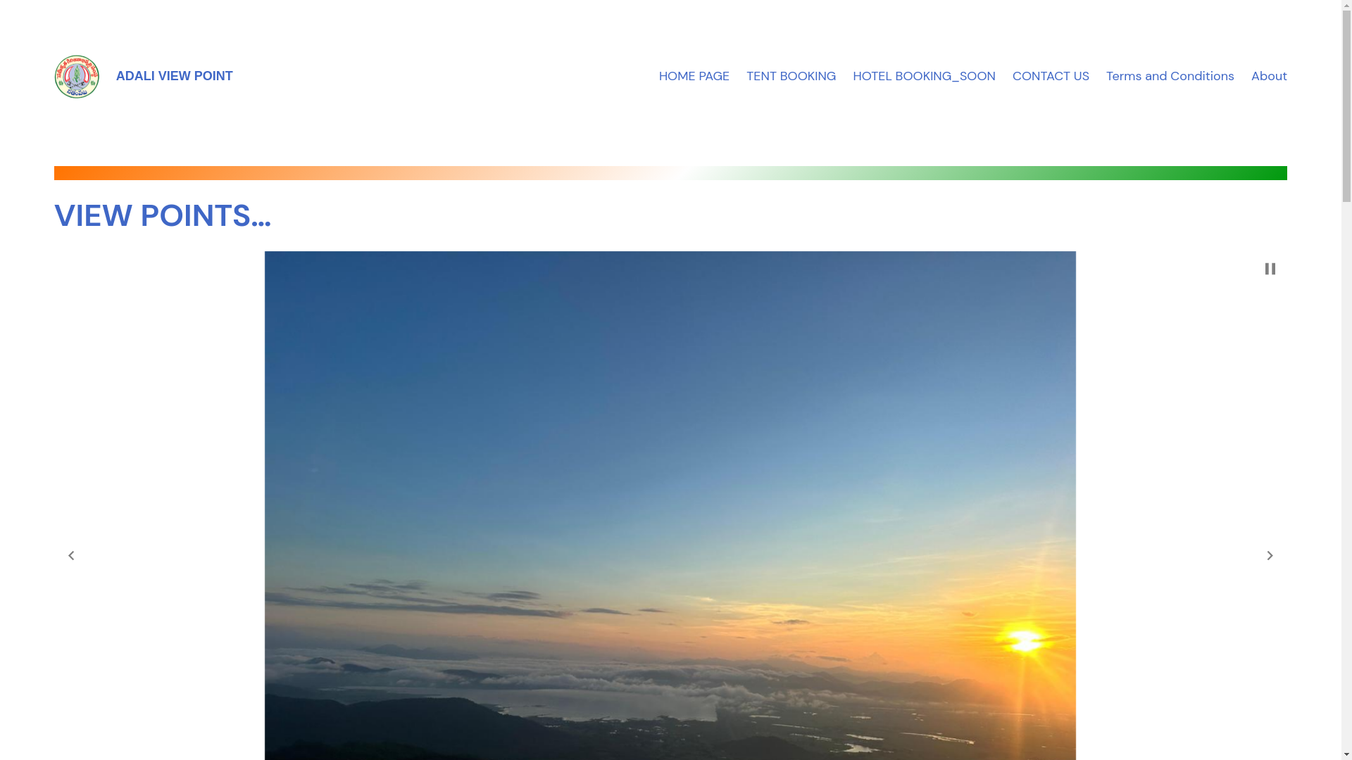 website screenshot of https://adaliviewpoint.com/