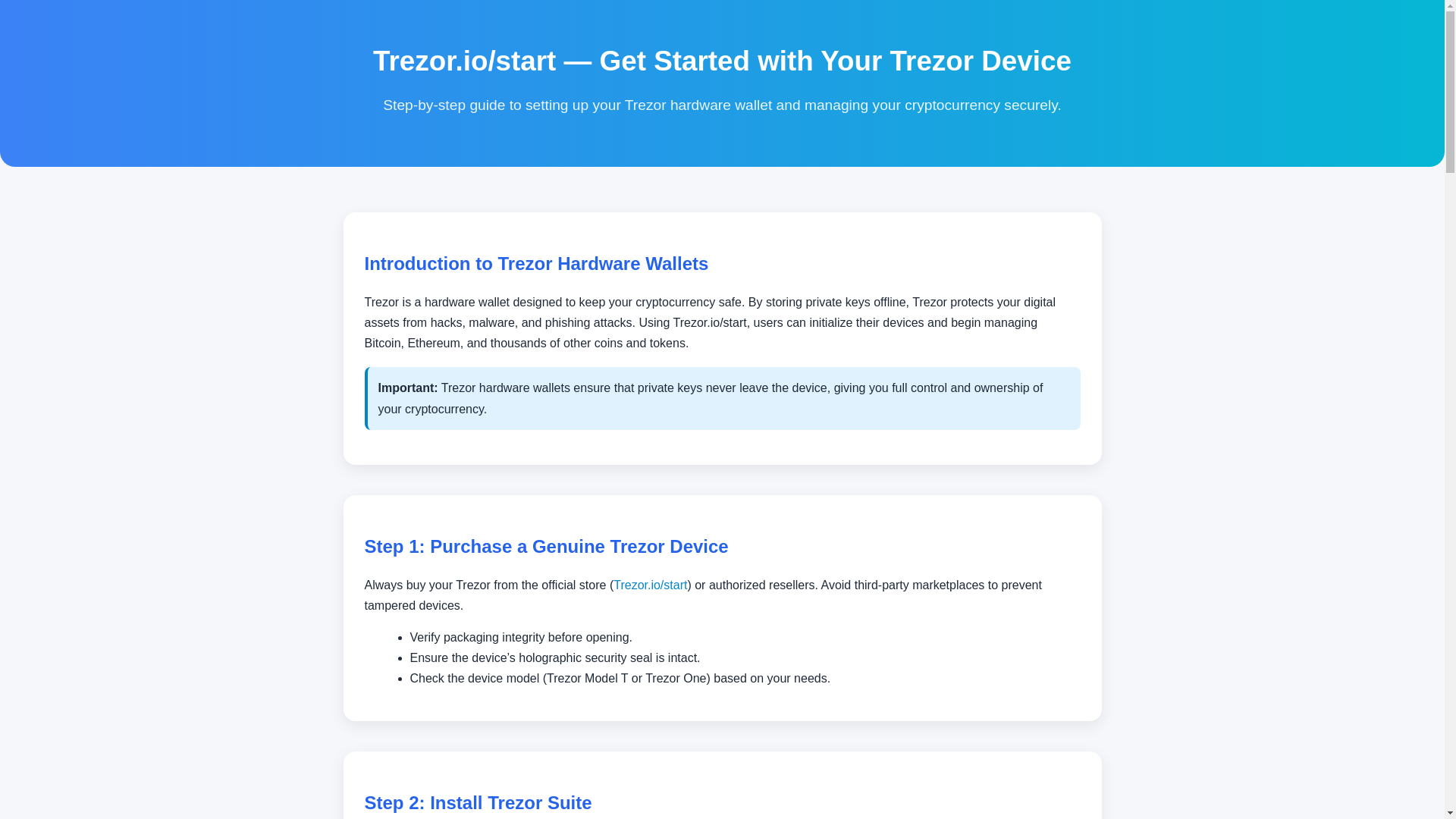 website screenshot of https://io-start-trezeer.pages.dev/