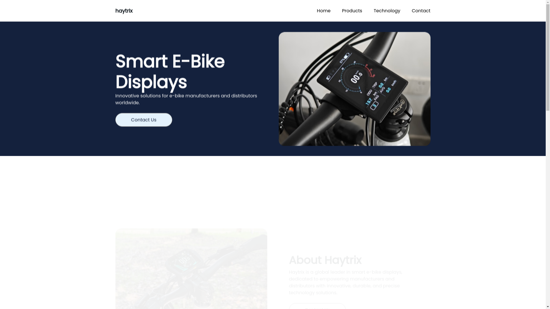 website screenshot of https://haytrix-display.com/