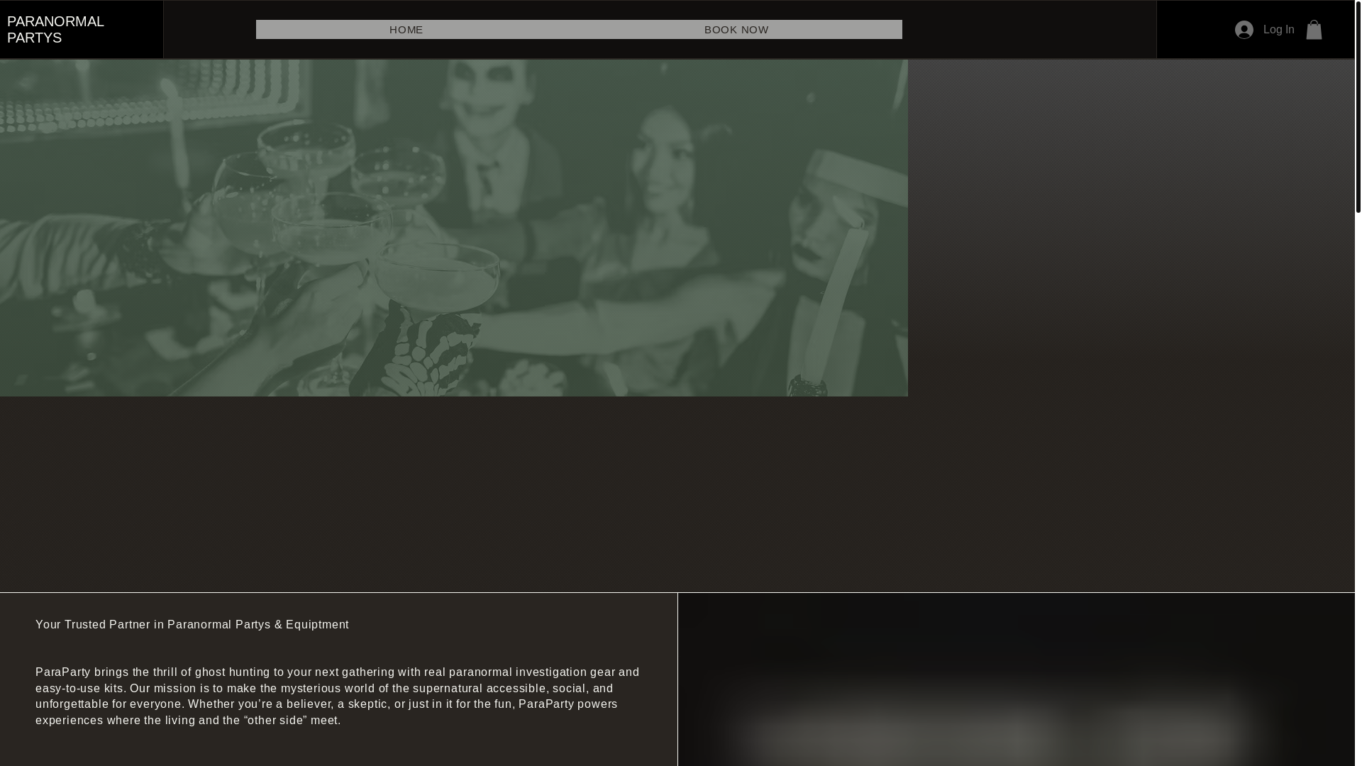 website screenshot of https://paranormalpartys.com/