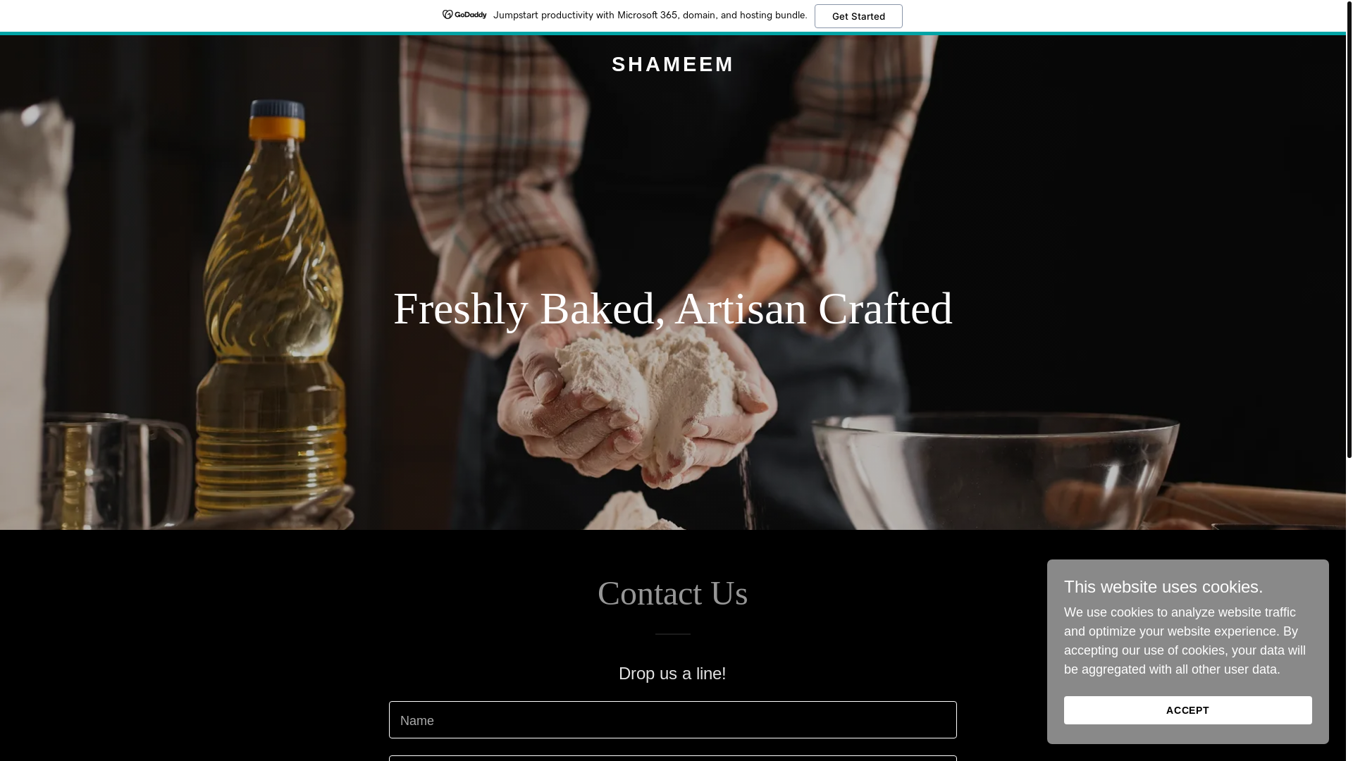 website screenshot of https://shameem.sg/