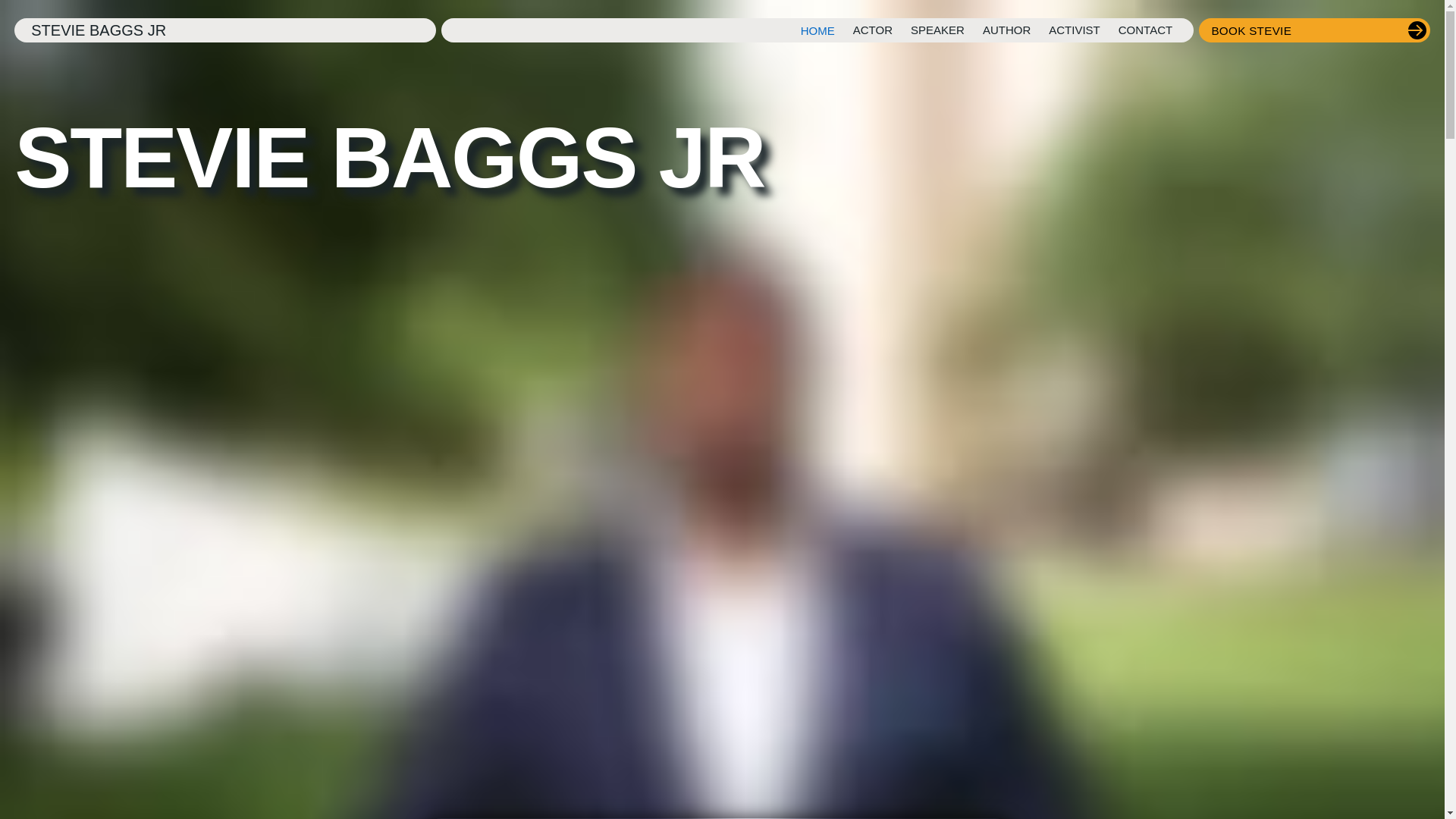 website screenshot of https://thesteviebaggsjr.com/