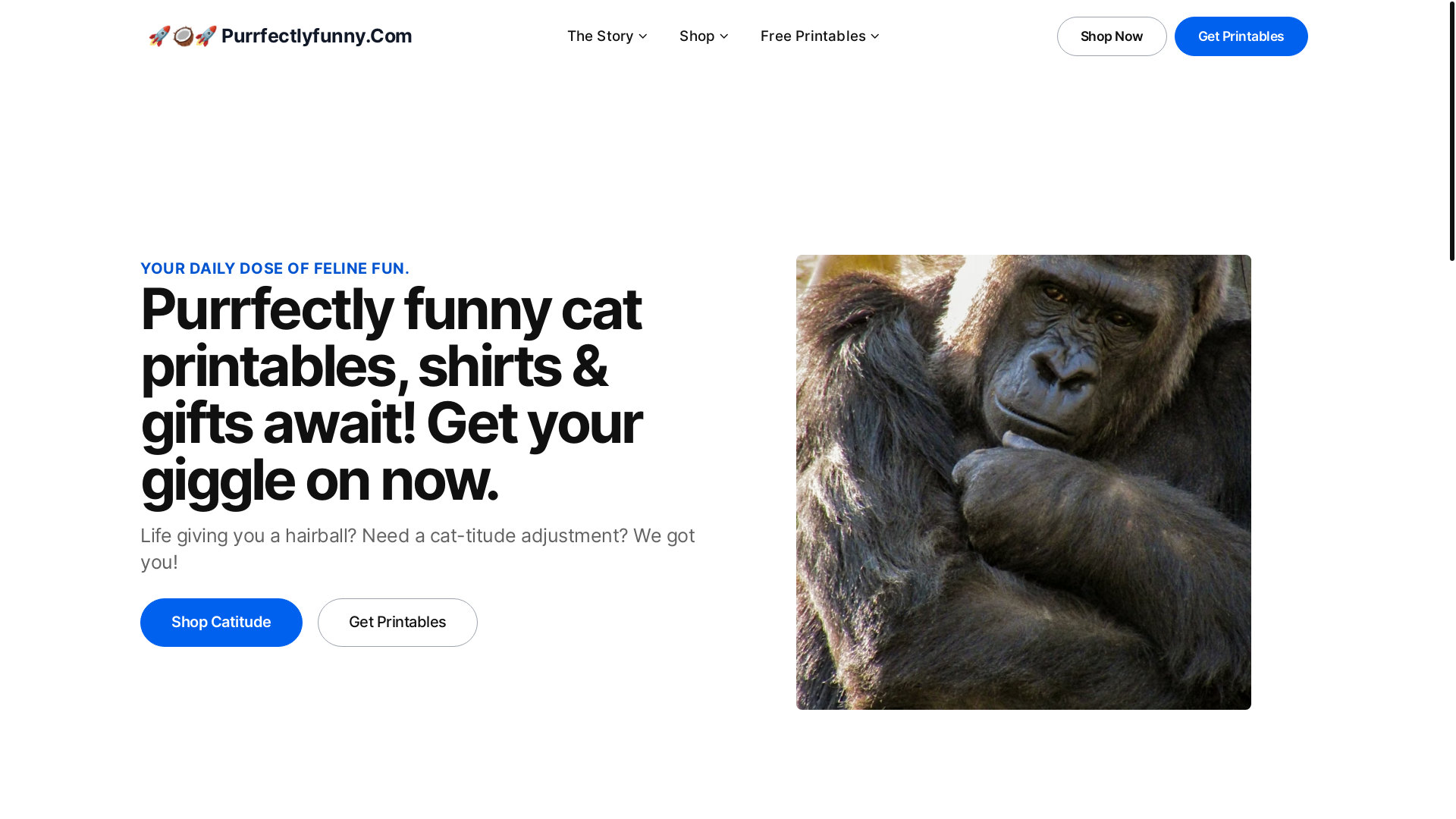 website screenshot of https://purrfectlyfunny-com.pages.dev/