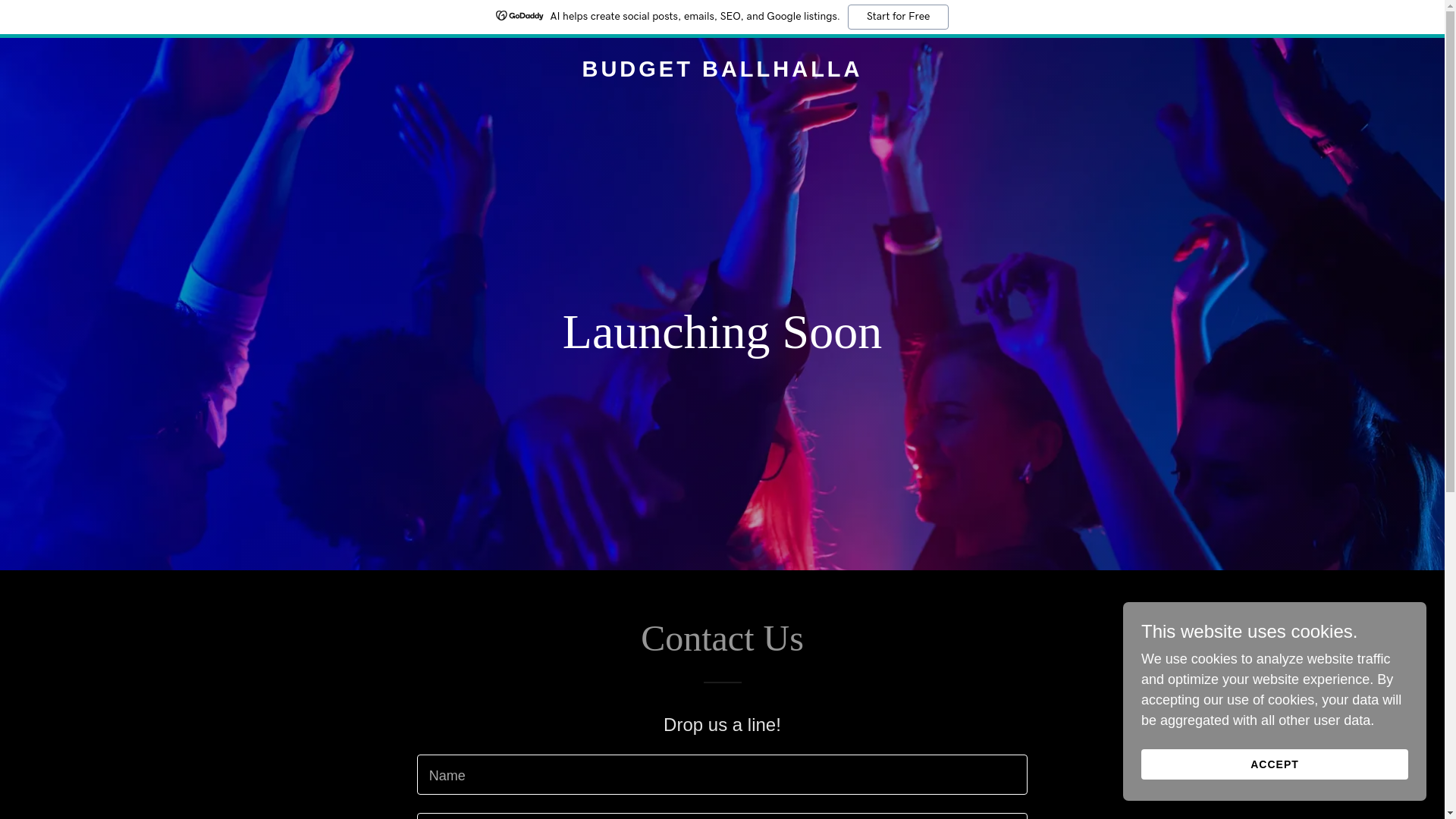 website screenshot of https://budgetballhalla.com/