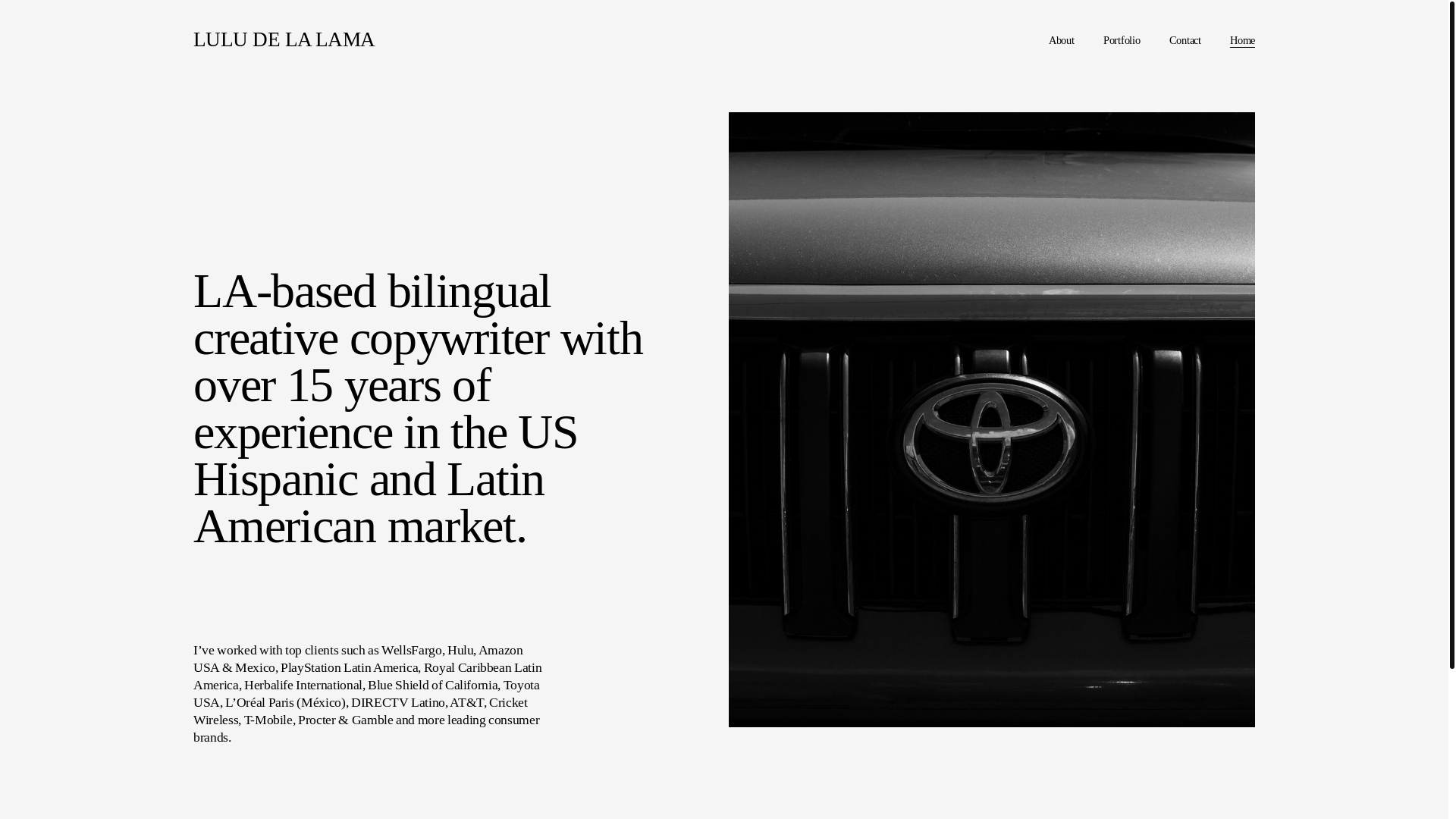 website screenshot of https://lulucopywriter.com/