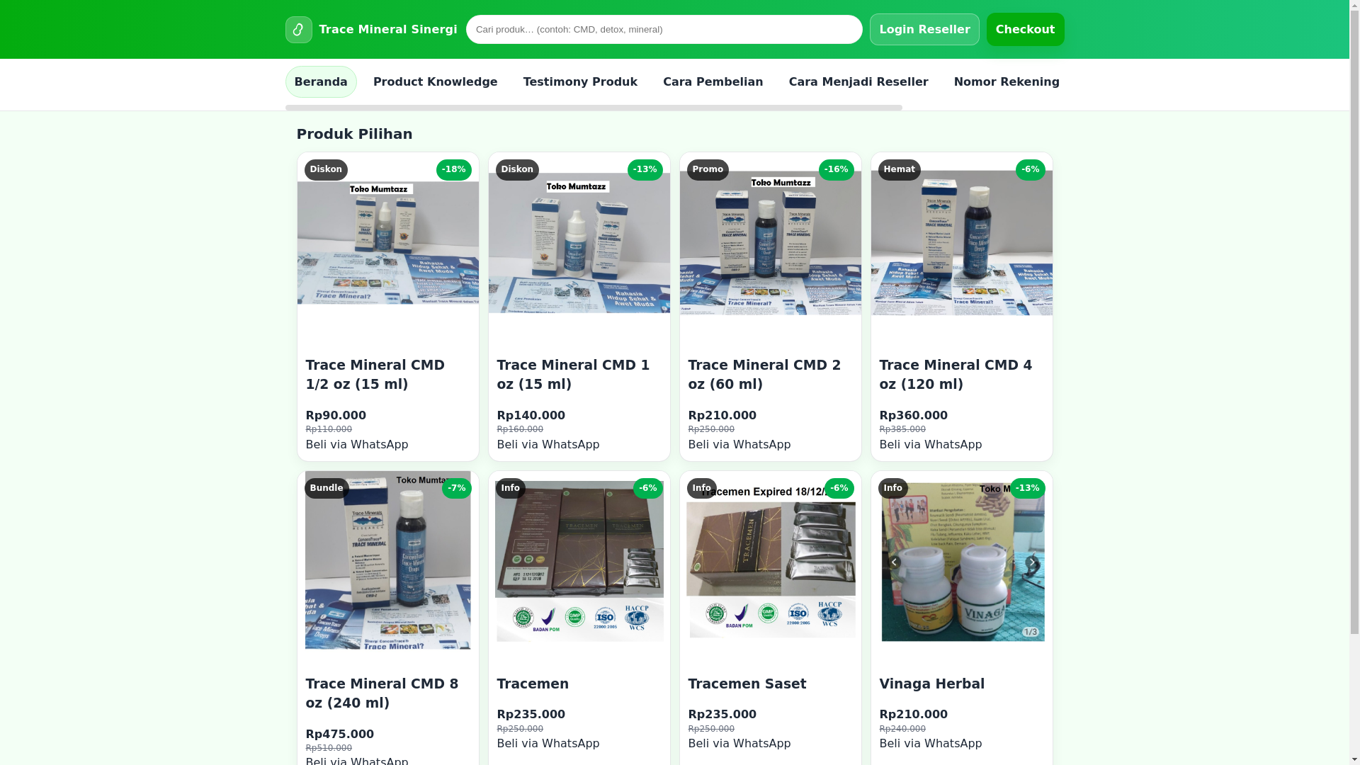 website screenshot of https://tracemen.online/