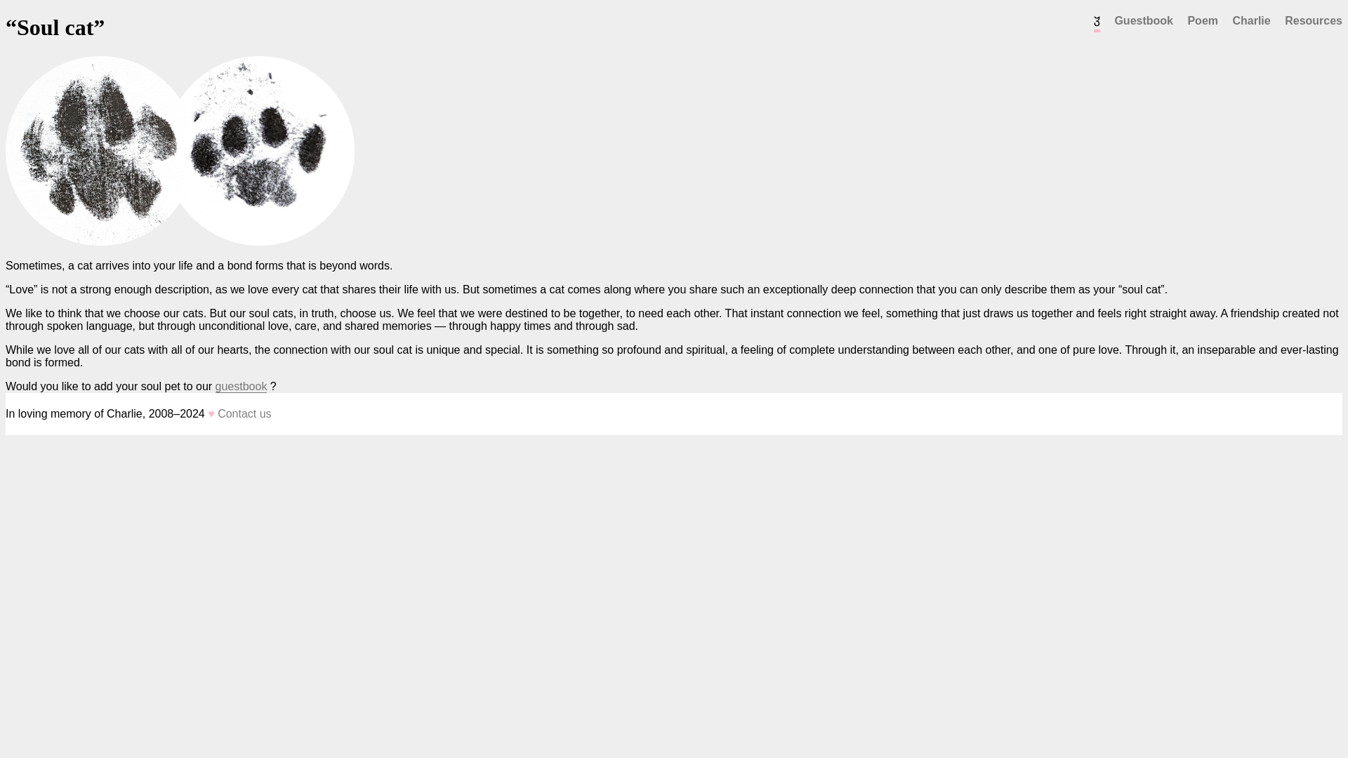 website screenshot of https://soul-cat.pages.dev/
