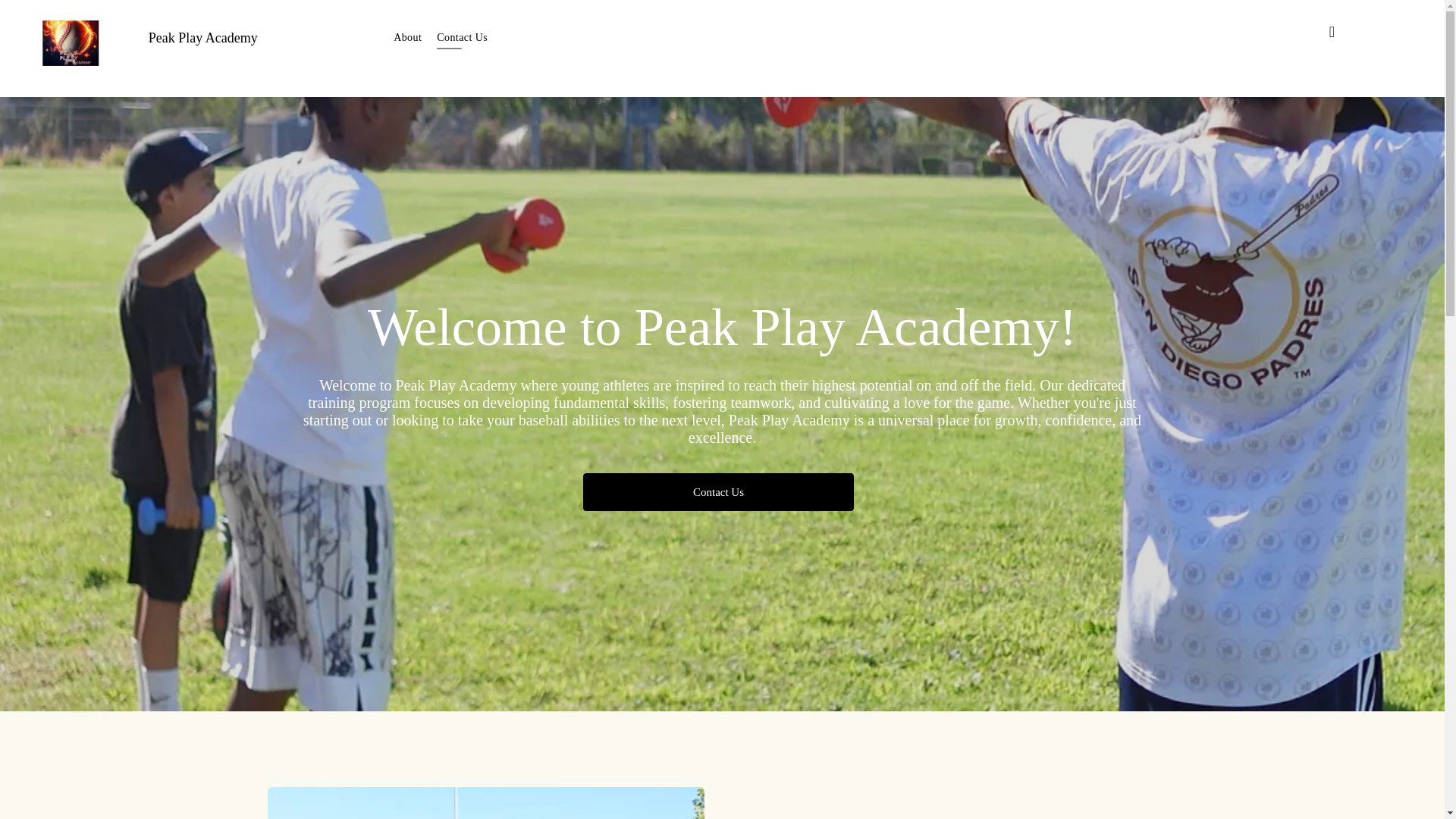 website screenshot of https://peakplayacademy.net/