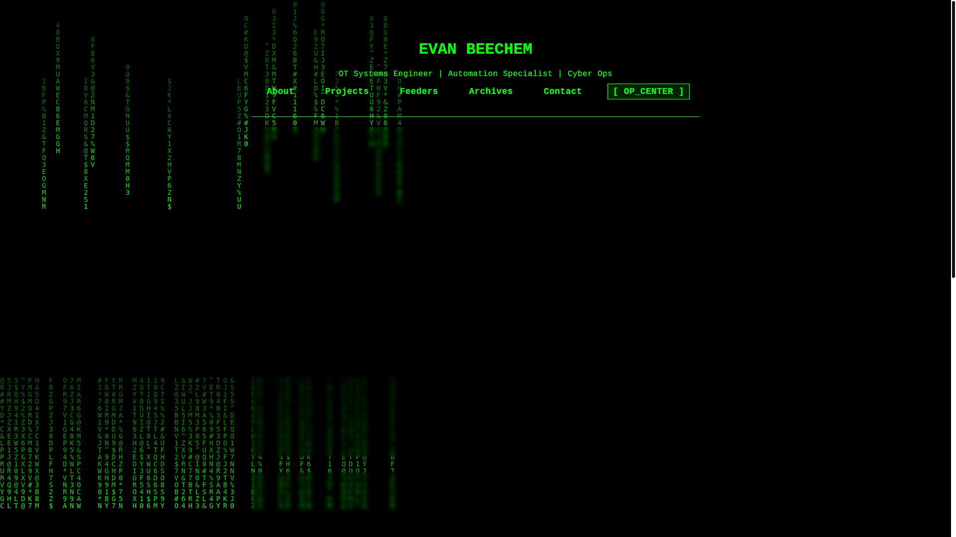 website screenshot of https://beechem.site/
