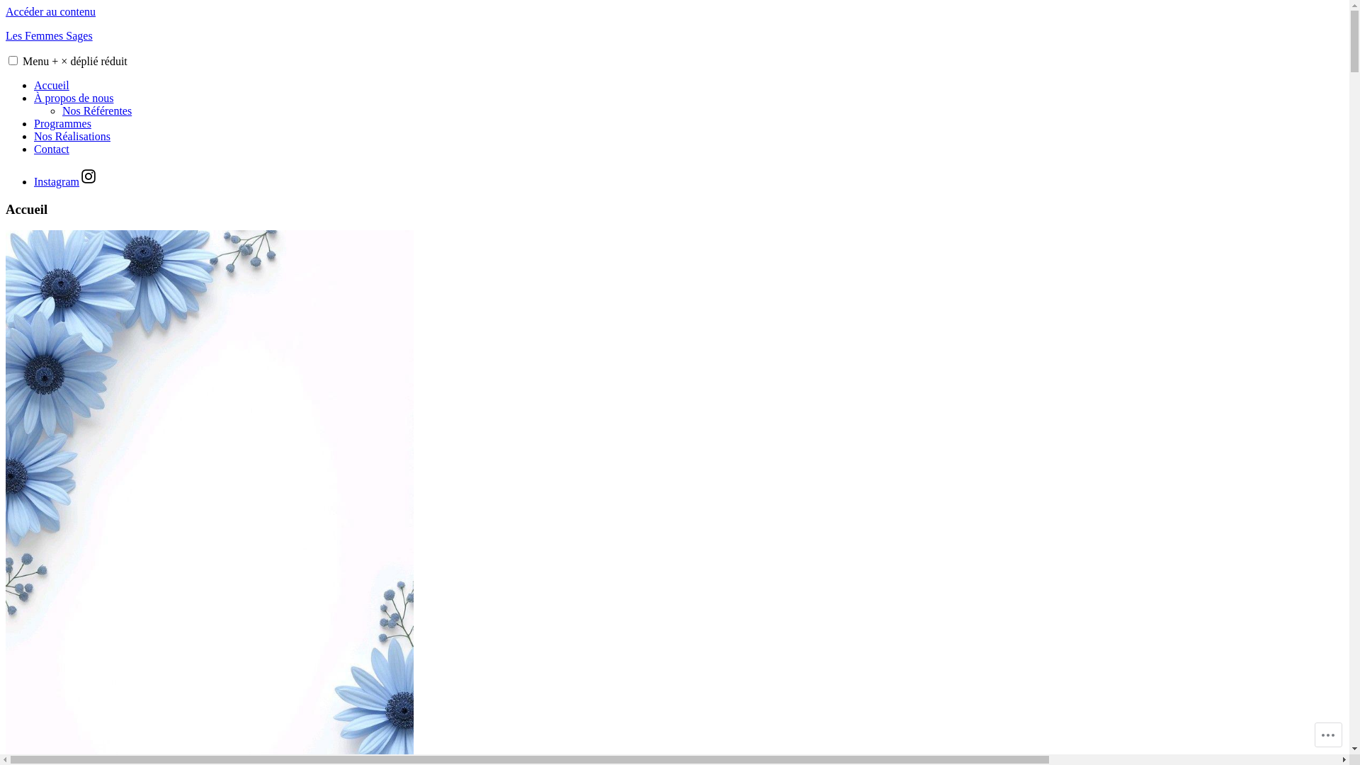 website screenshot of https://lesfemmessages.com/