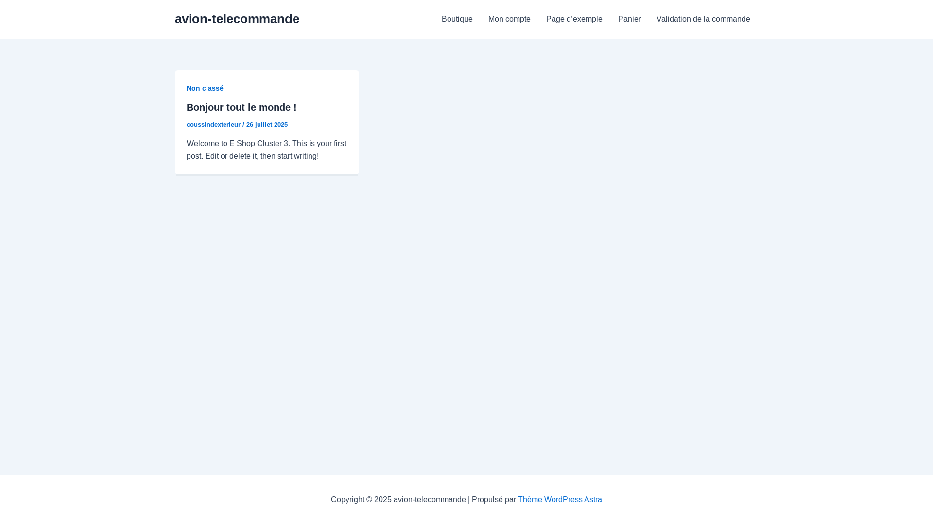 website screenshot of https://avion-telecommande.fr/
