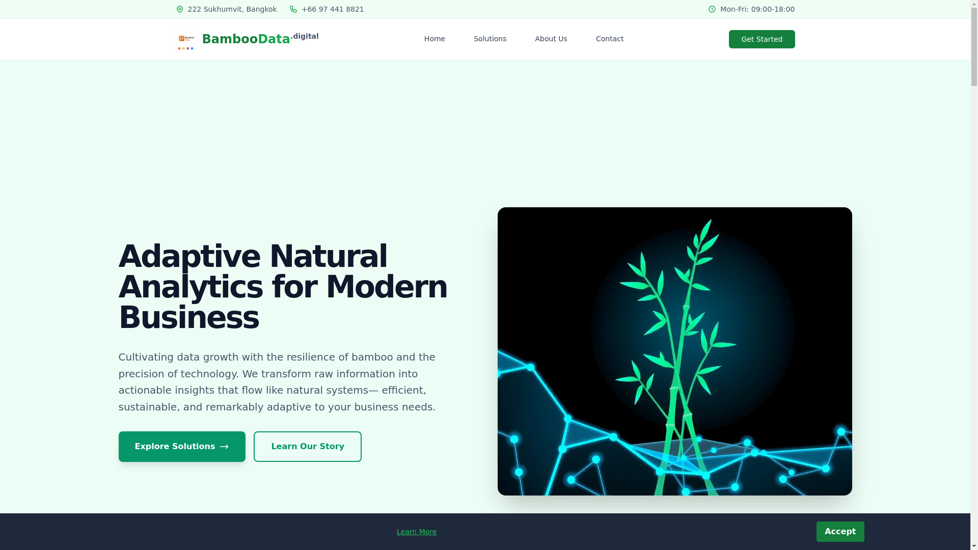 website screenshot of https://bamboodata.digital/
