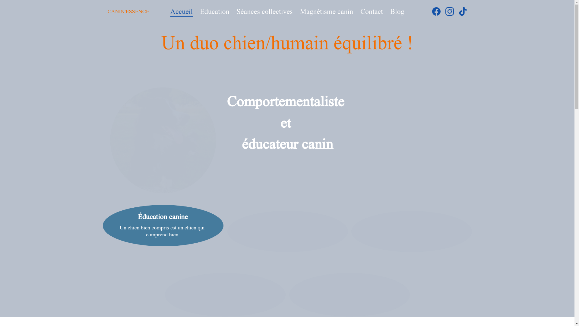 website screenshot of https://caninessence.fr/