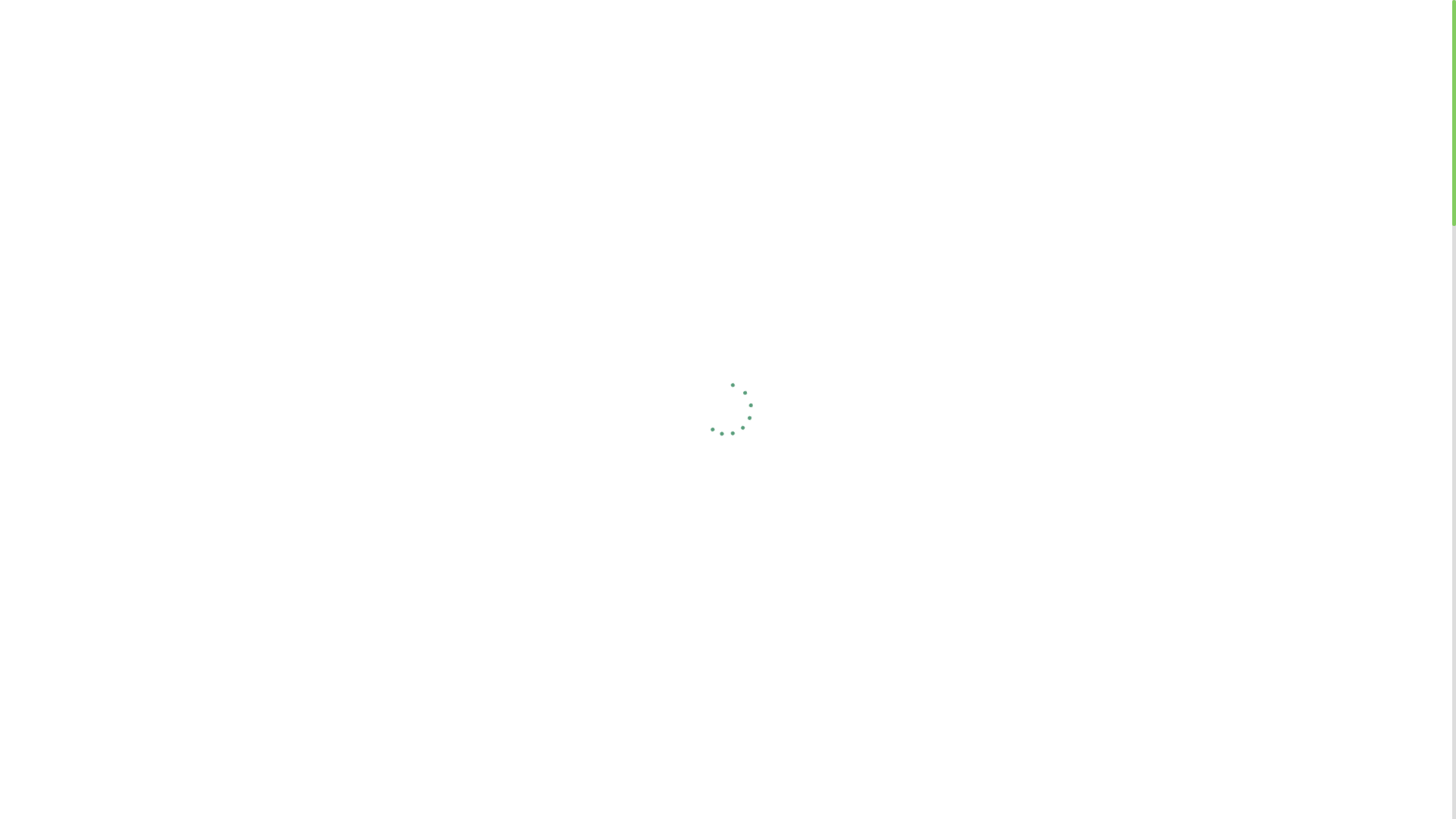 website screenshot of https://profdrpelinaribalayral.com/