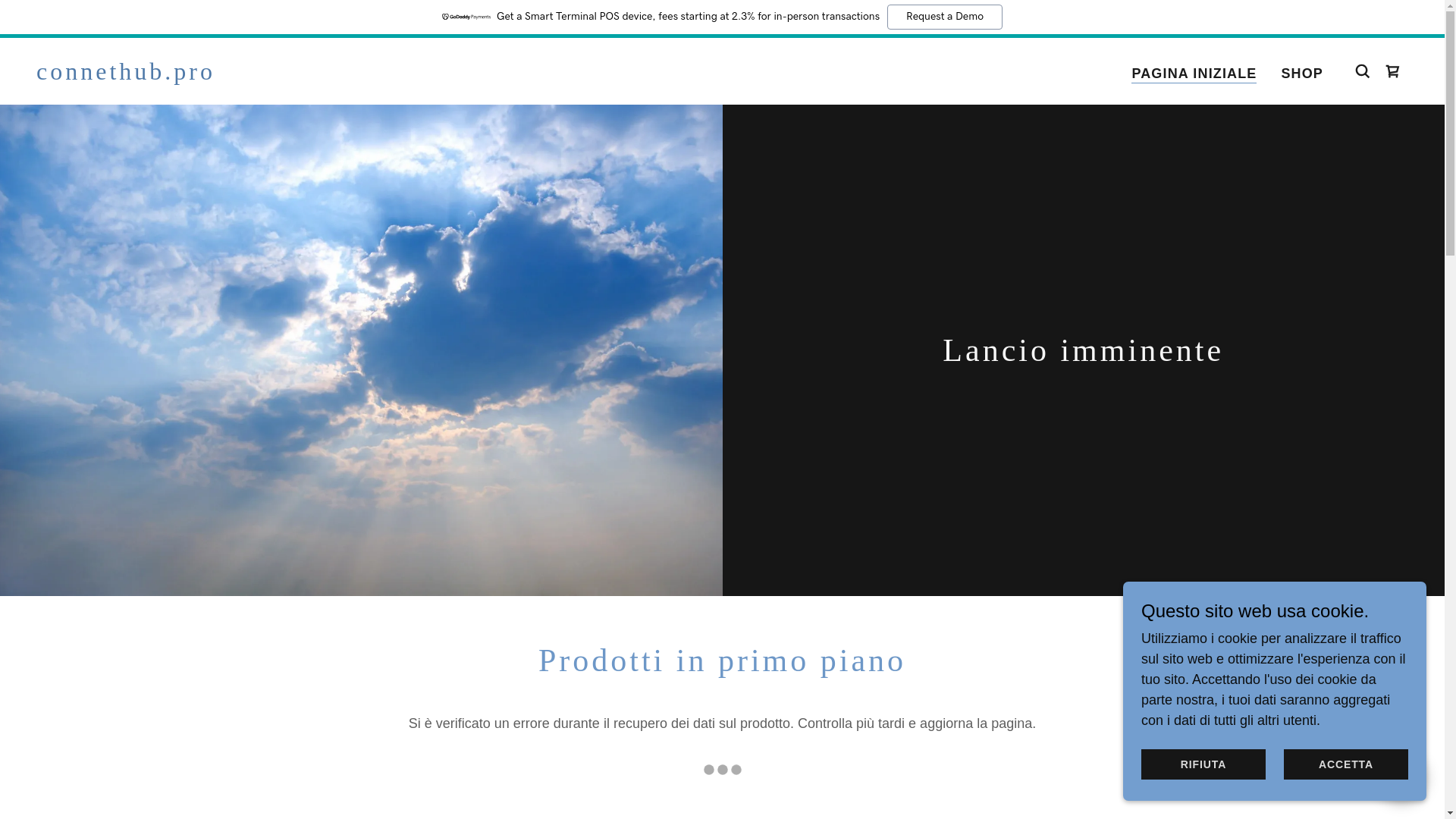 website screenshot of https://connethub.pro/