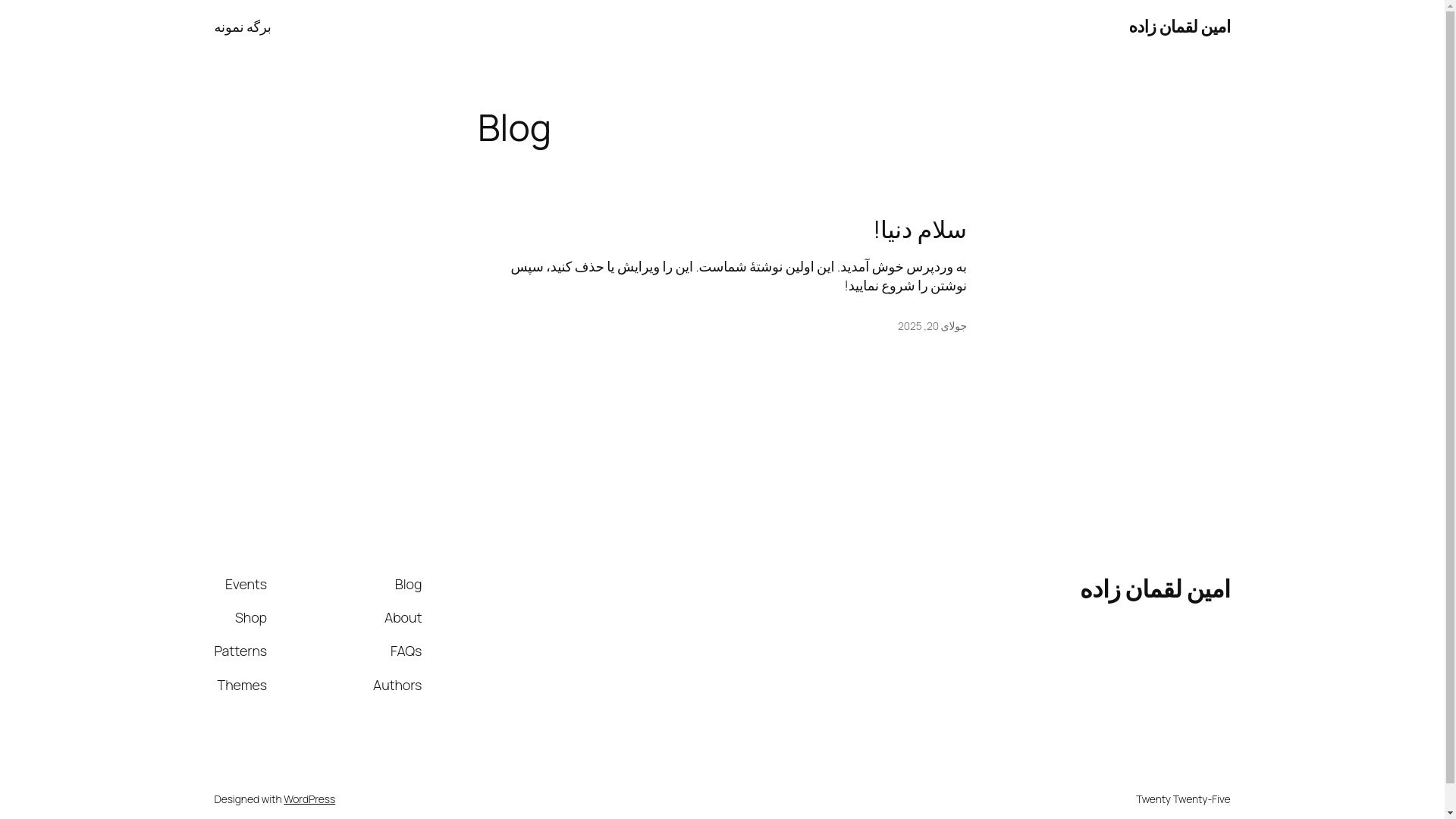 website screenshot of https://aminloghmanzadeh.ir/