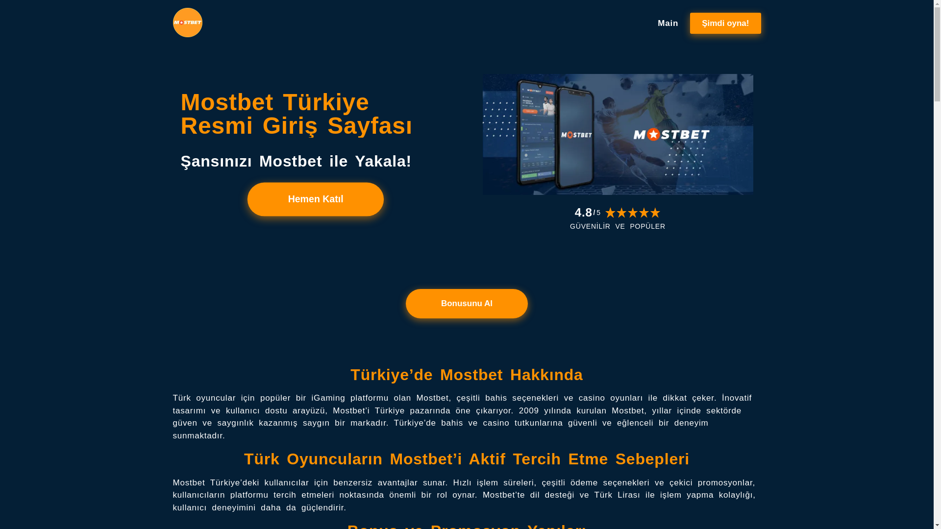 website screenshot of https://turkiye-giris.ink/