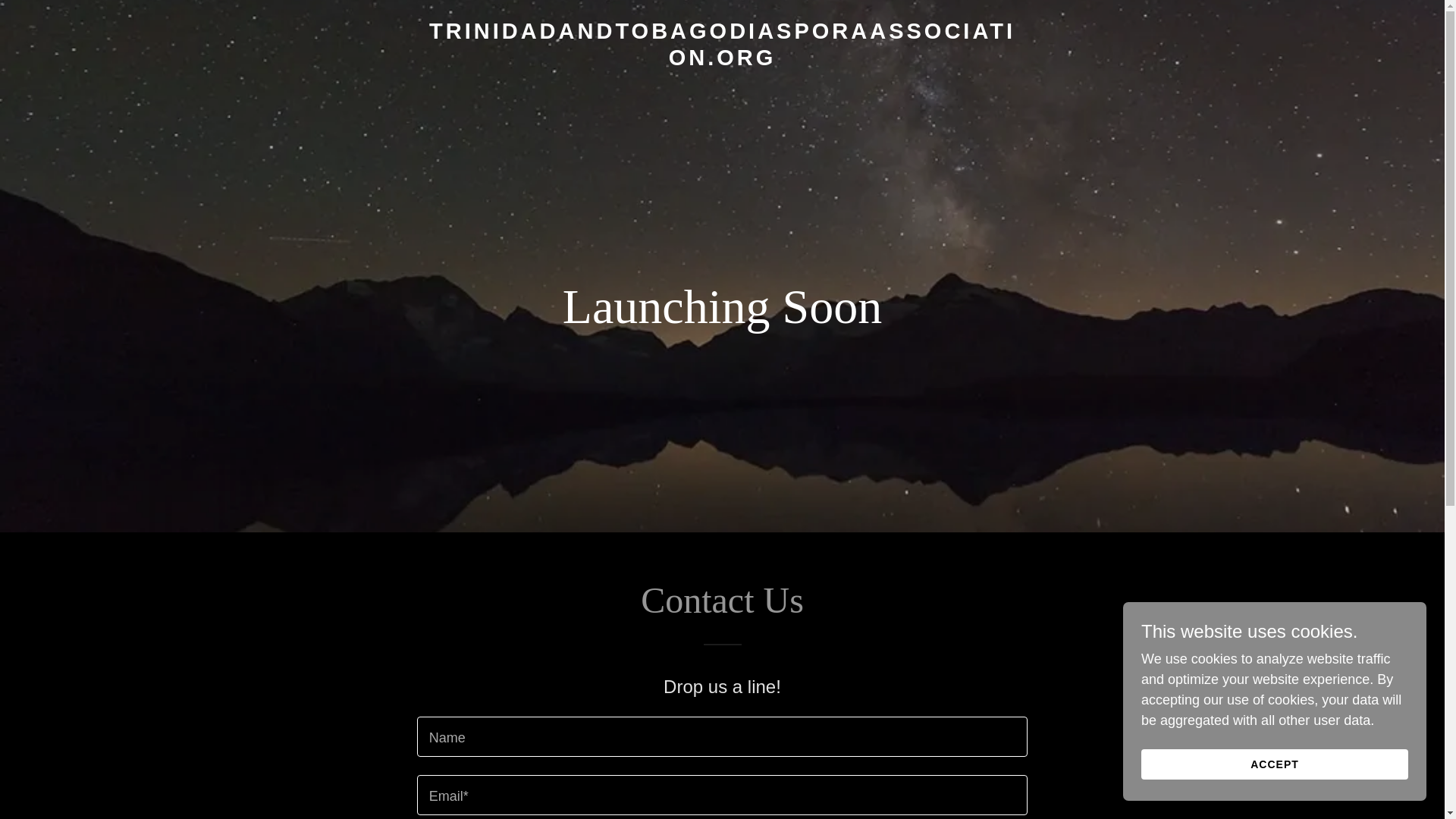 website screenshot of https://trinidadandtobagodiasporaassociation.org/