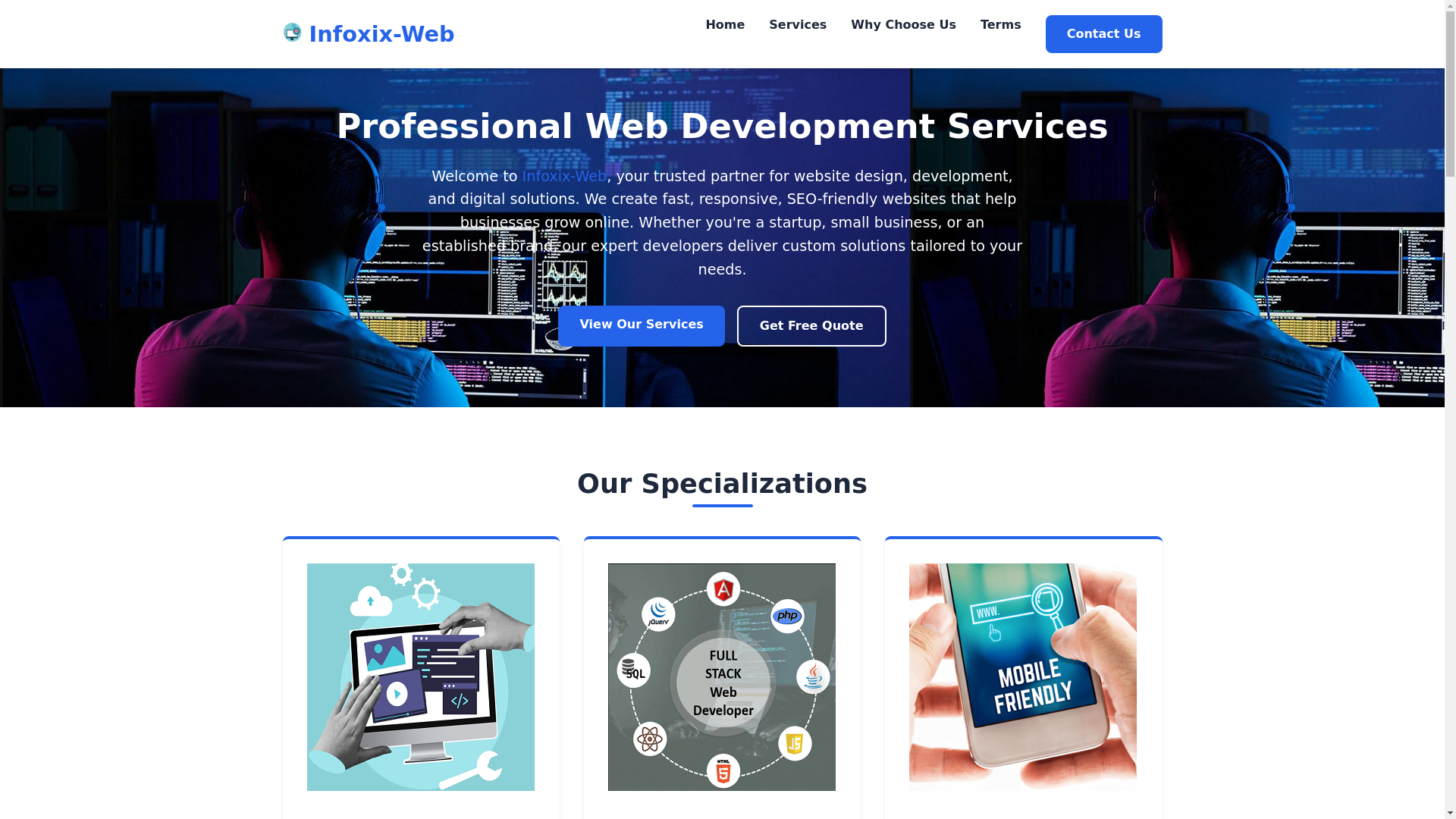 website screenshot of https://infoxix-web.online/