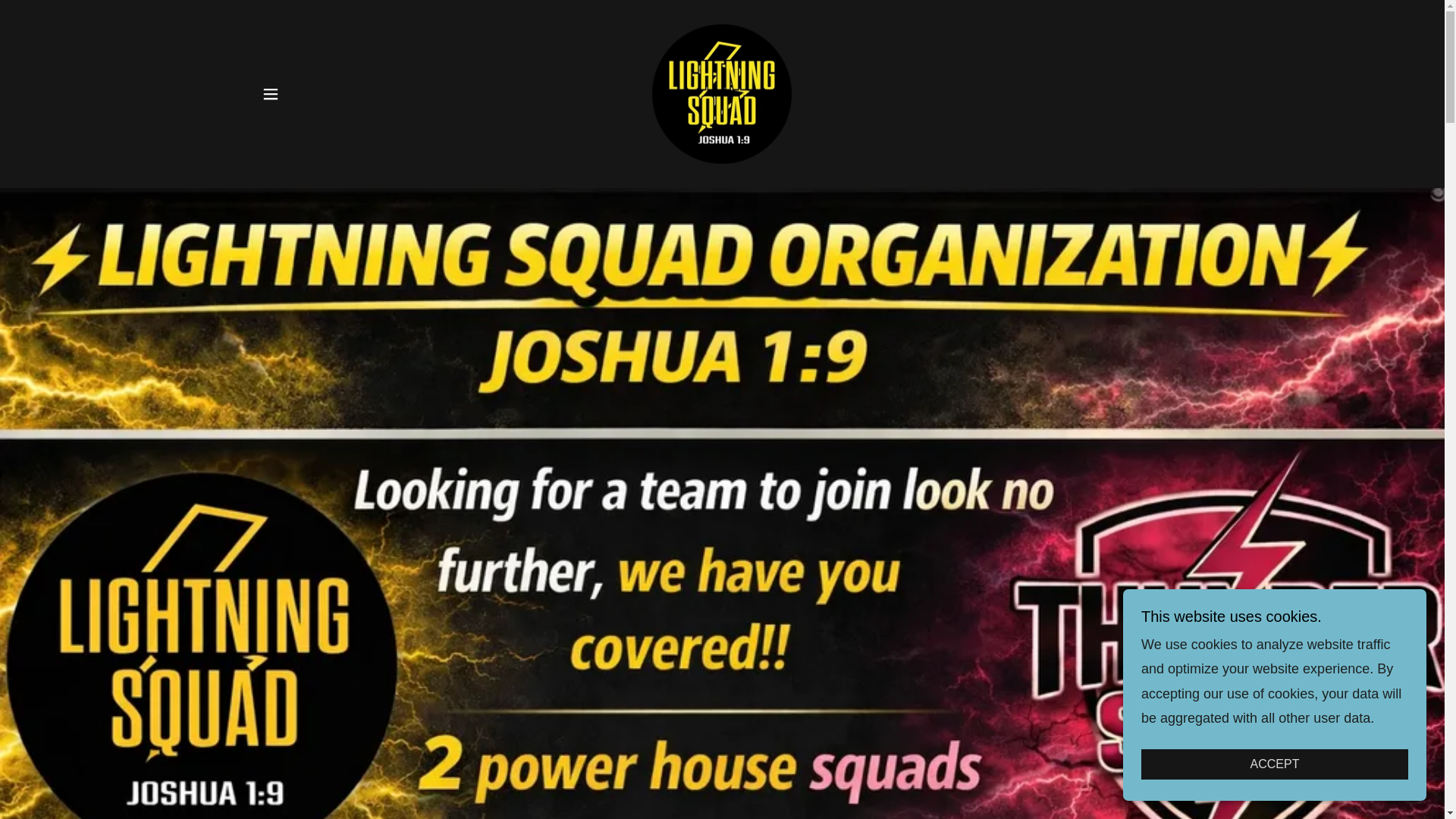 website screenshot of https://lightningsquadorganization.com/