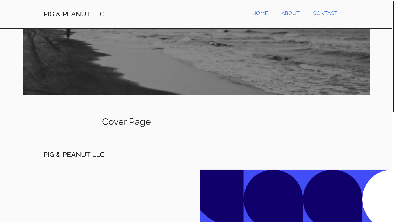 website screenshot of https://pigpeanutllc.com/
