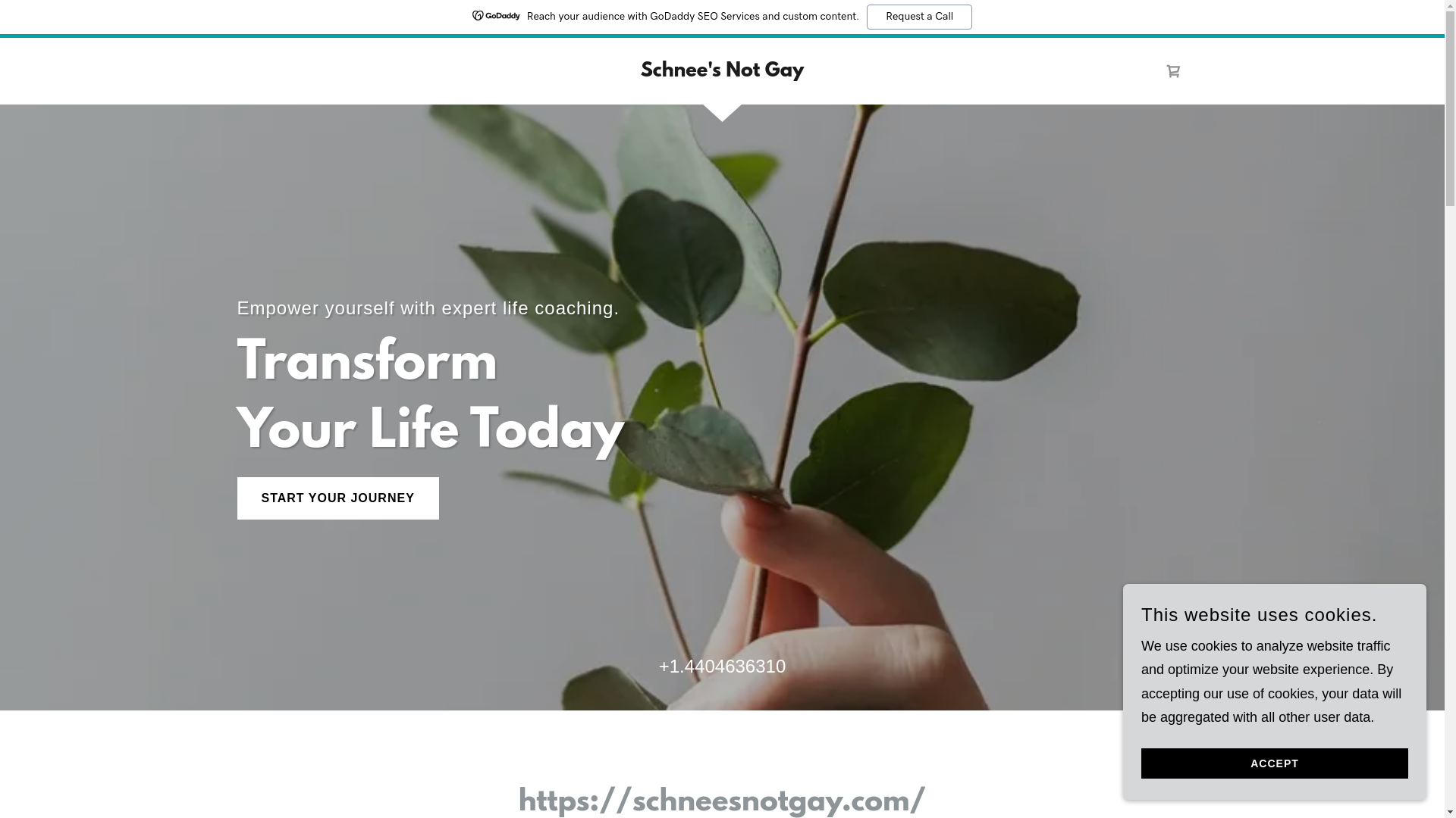 website screenshot of https://schneeisgay.com/