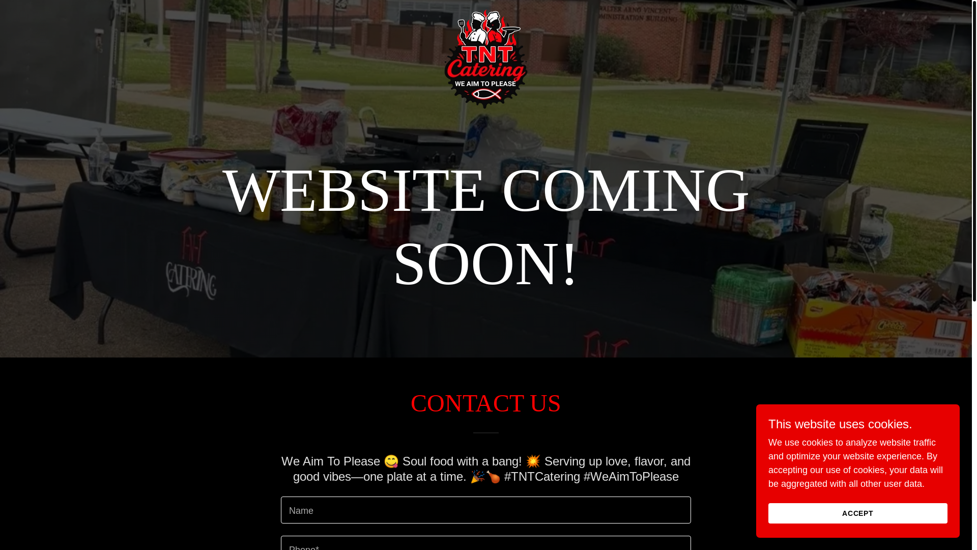website screenshot of https://tntcateringms.com/