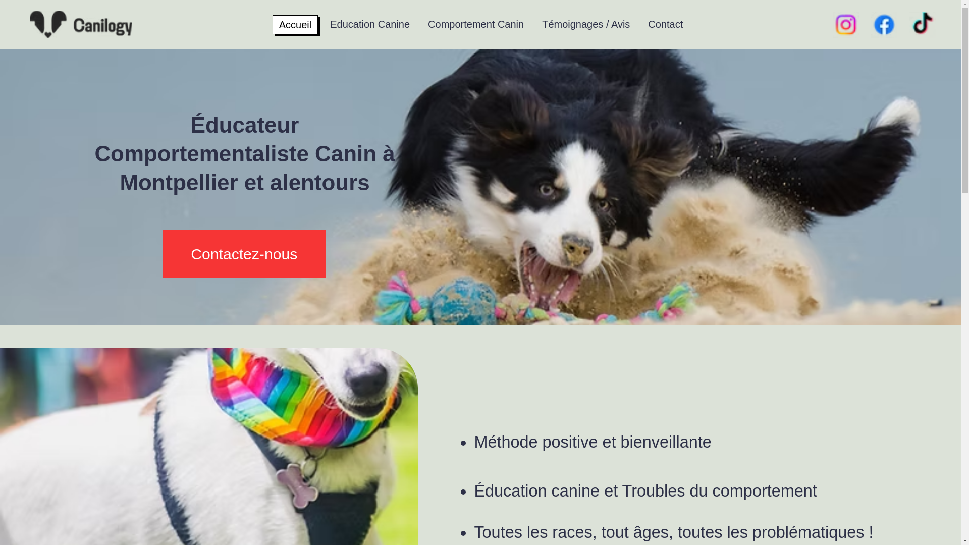 website screenshot of https://canilogy.fr/
