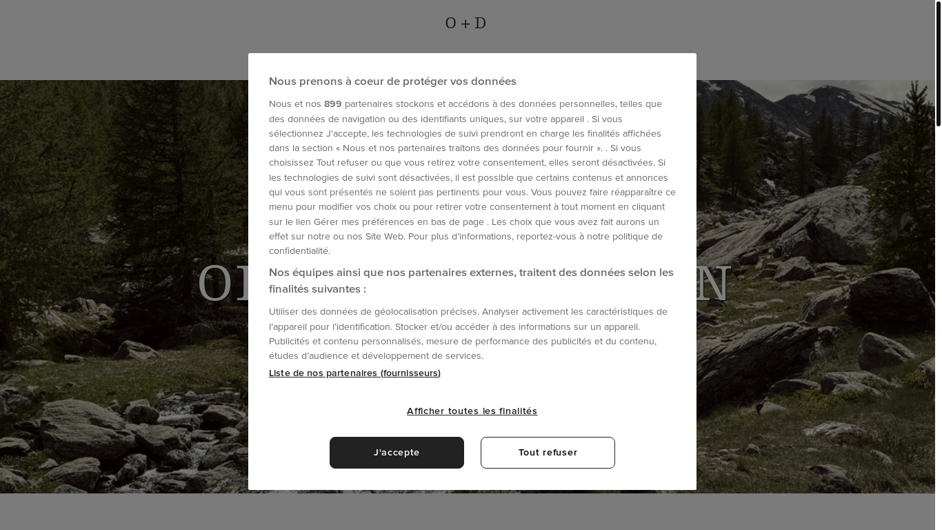 website screenshot of https://ophelie-et-dorian.fr/