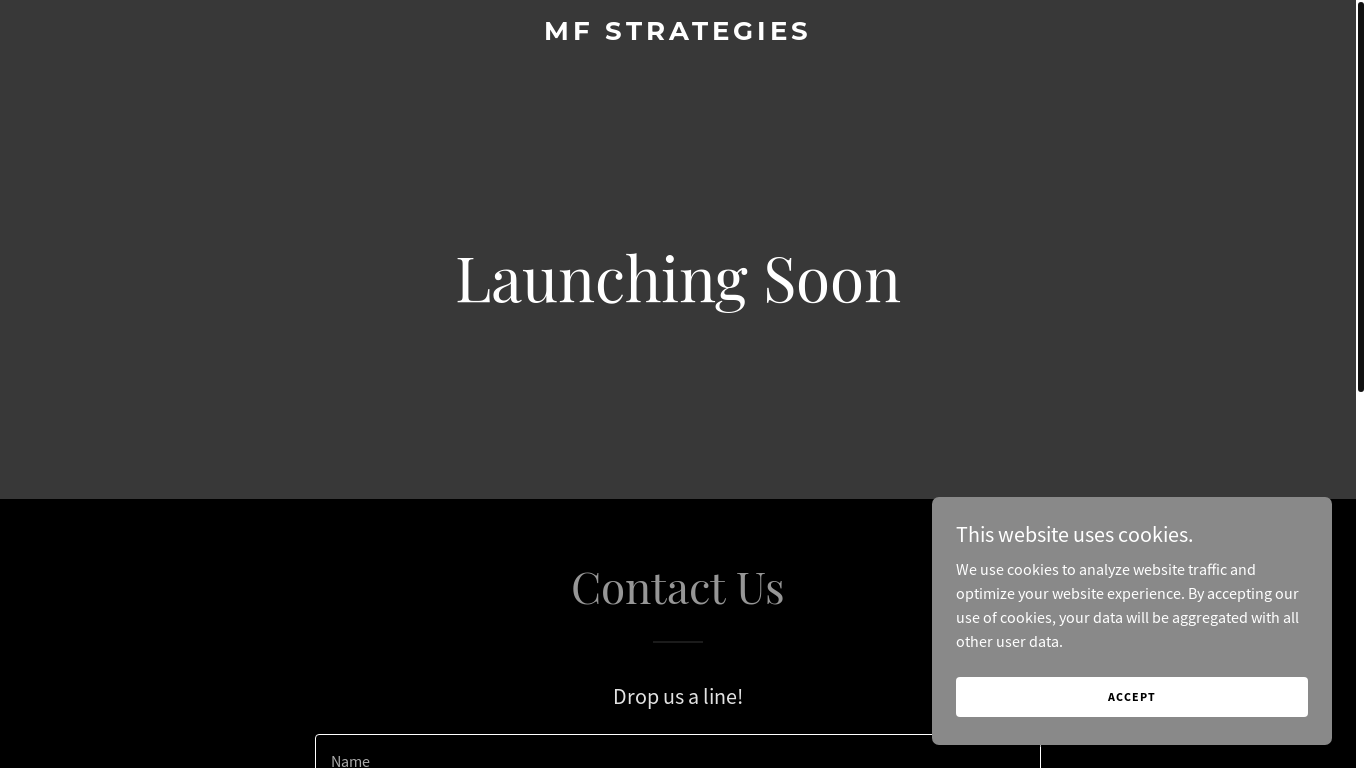 website screenshot of https://mfstrategies.ai/