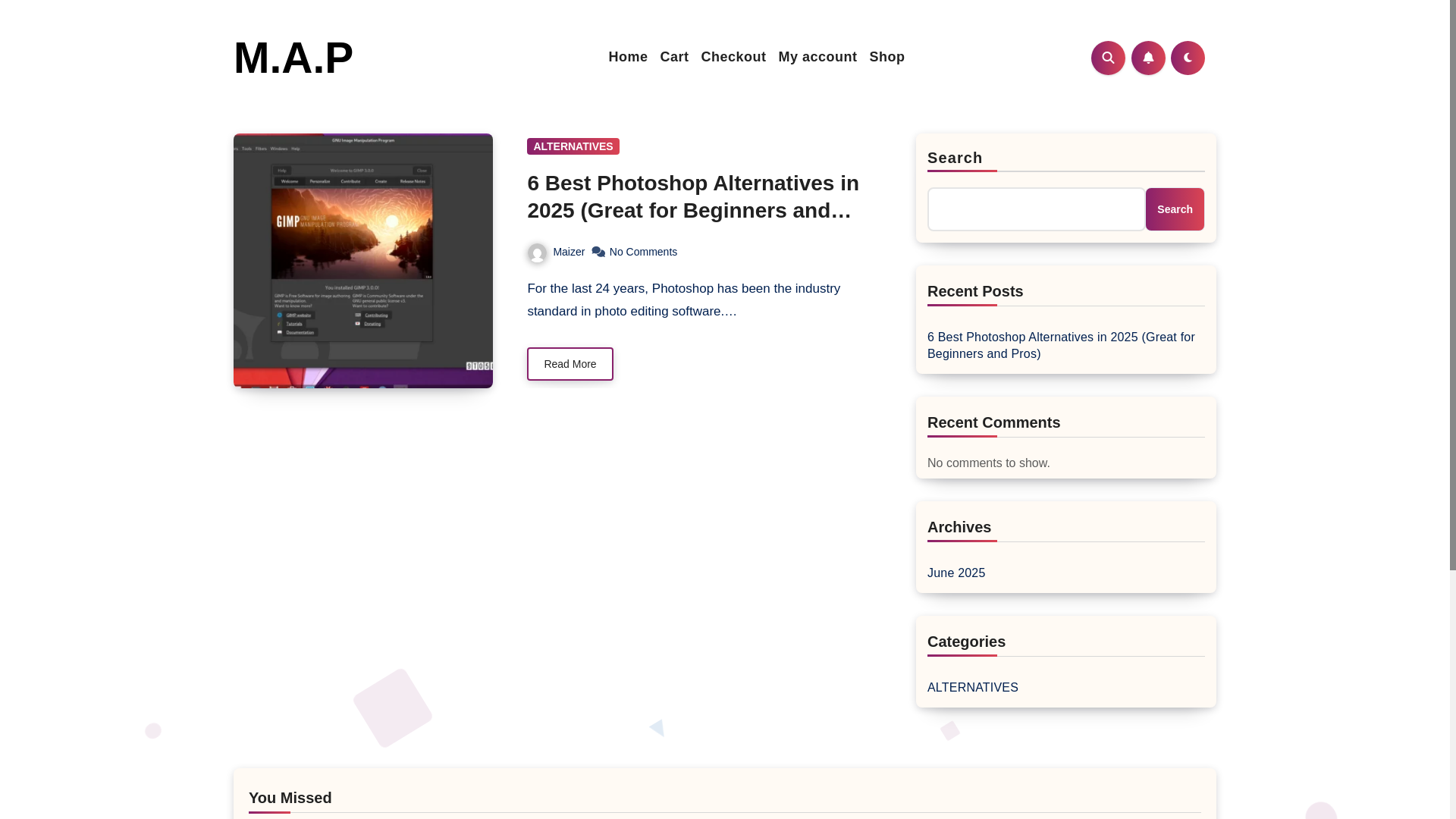website screenshot of https://maizer-ai-project.com/