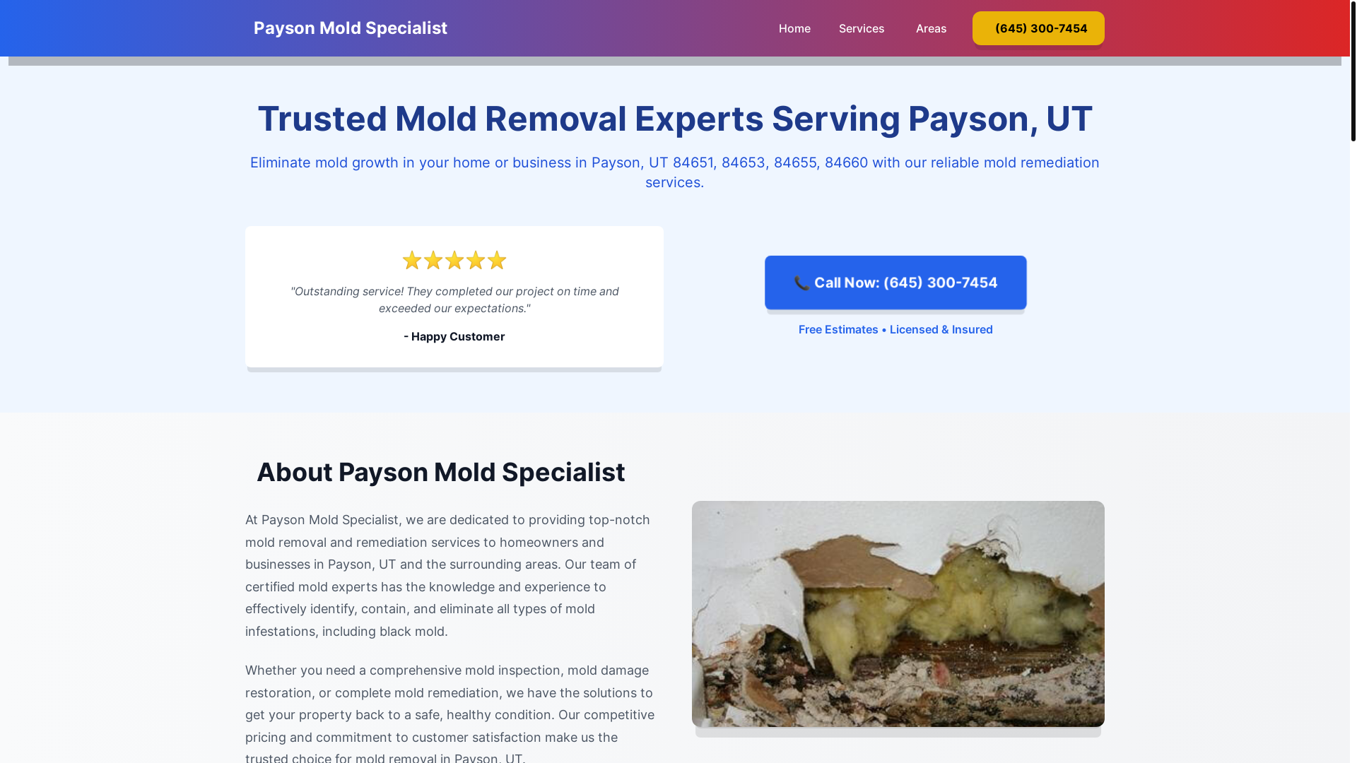 website screenshot of https://mold-inspection-payson-ut.pages.dev/
