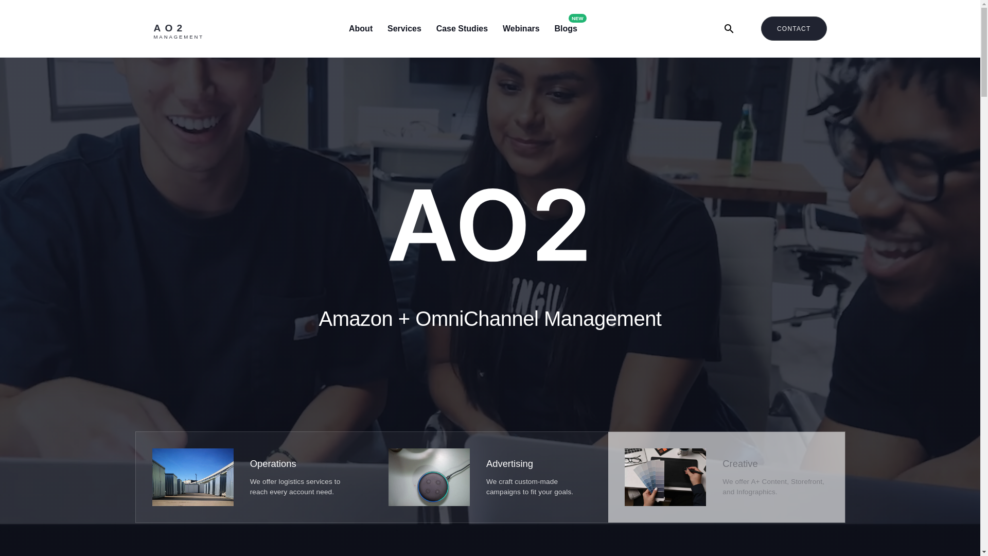 website screenshot of https://tryao2marketing.com/