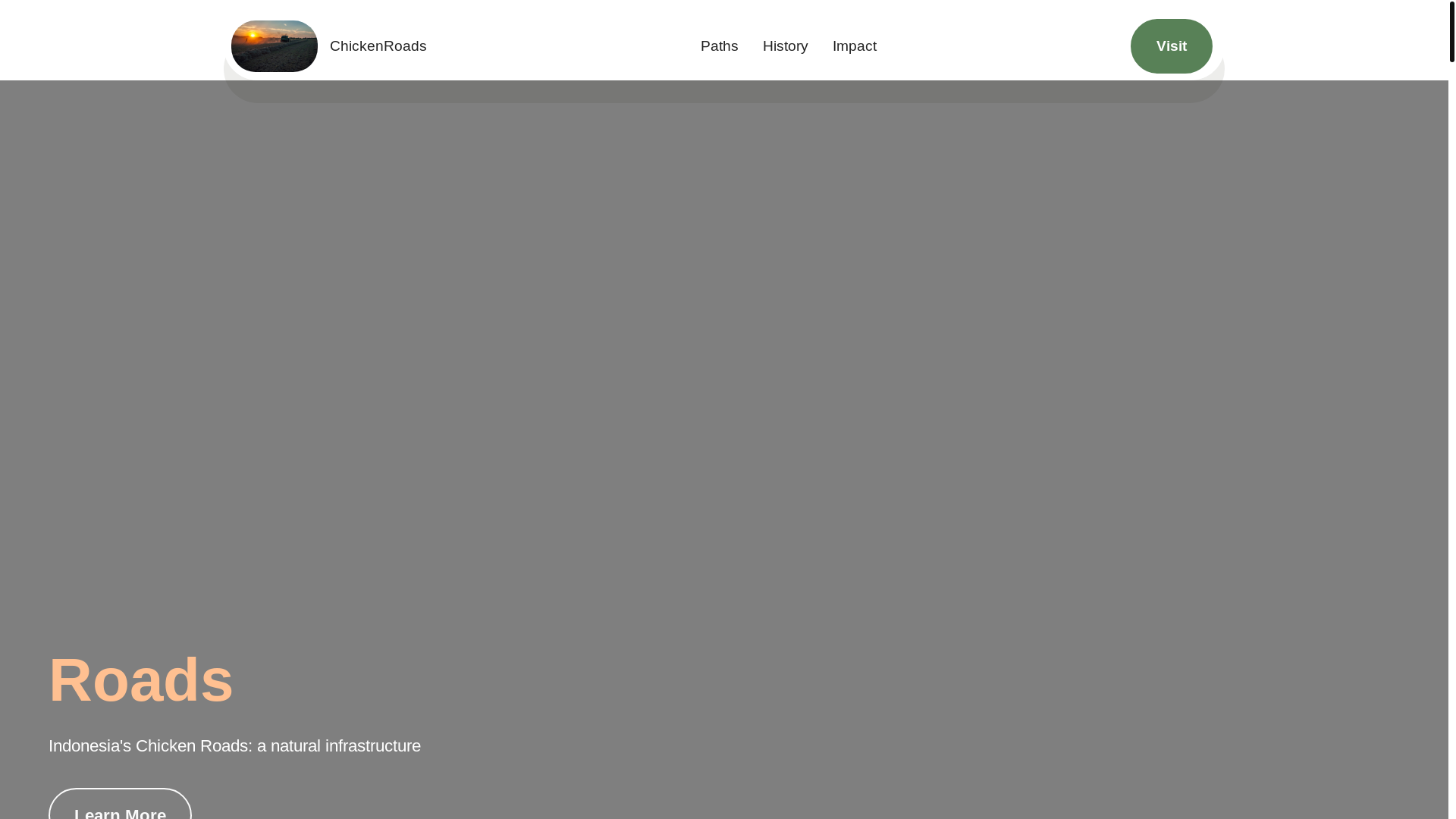 website screenshot of https://chikenroadcheesetart.info/