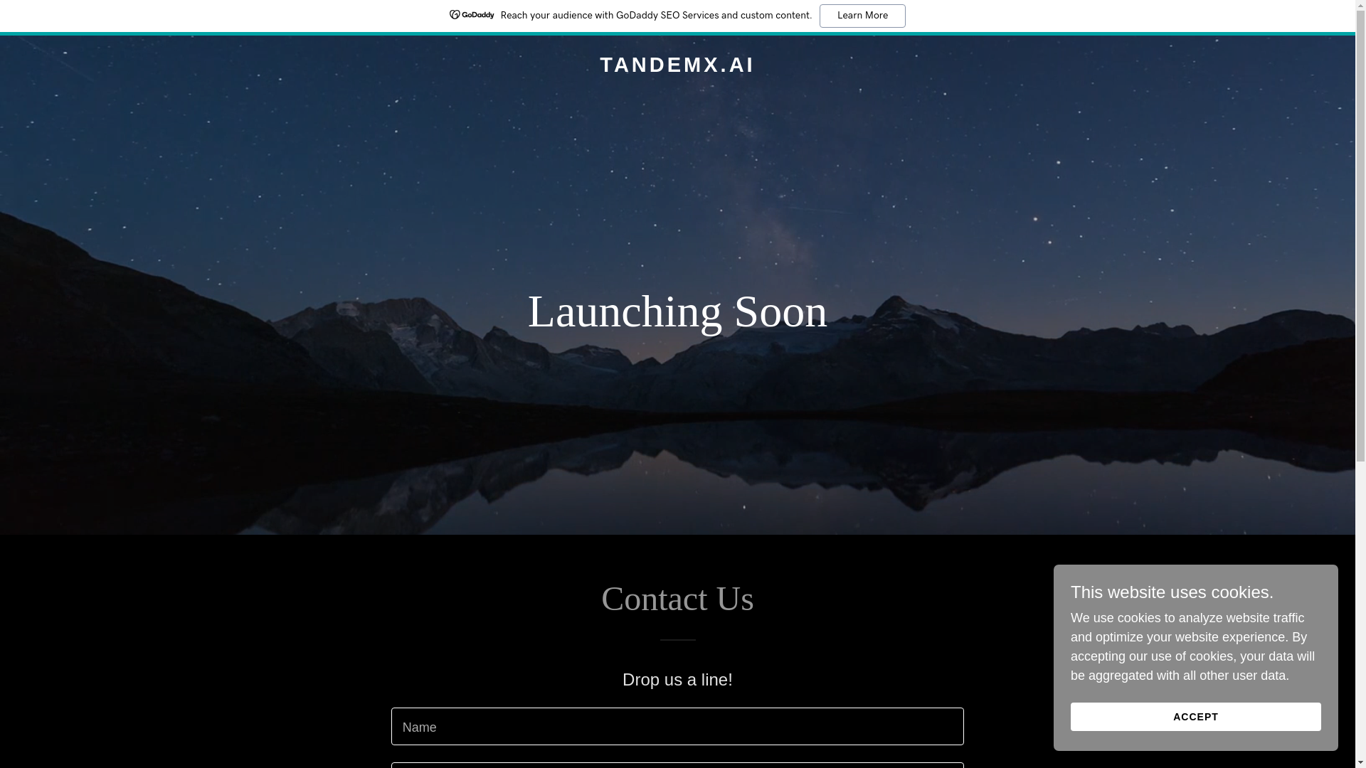 website screenshot of https://tandemx.ai/