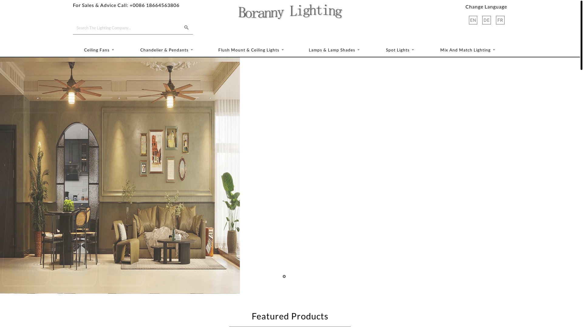 website screenshot of https://borannylighting.com/