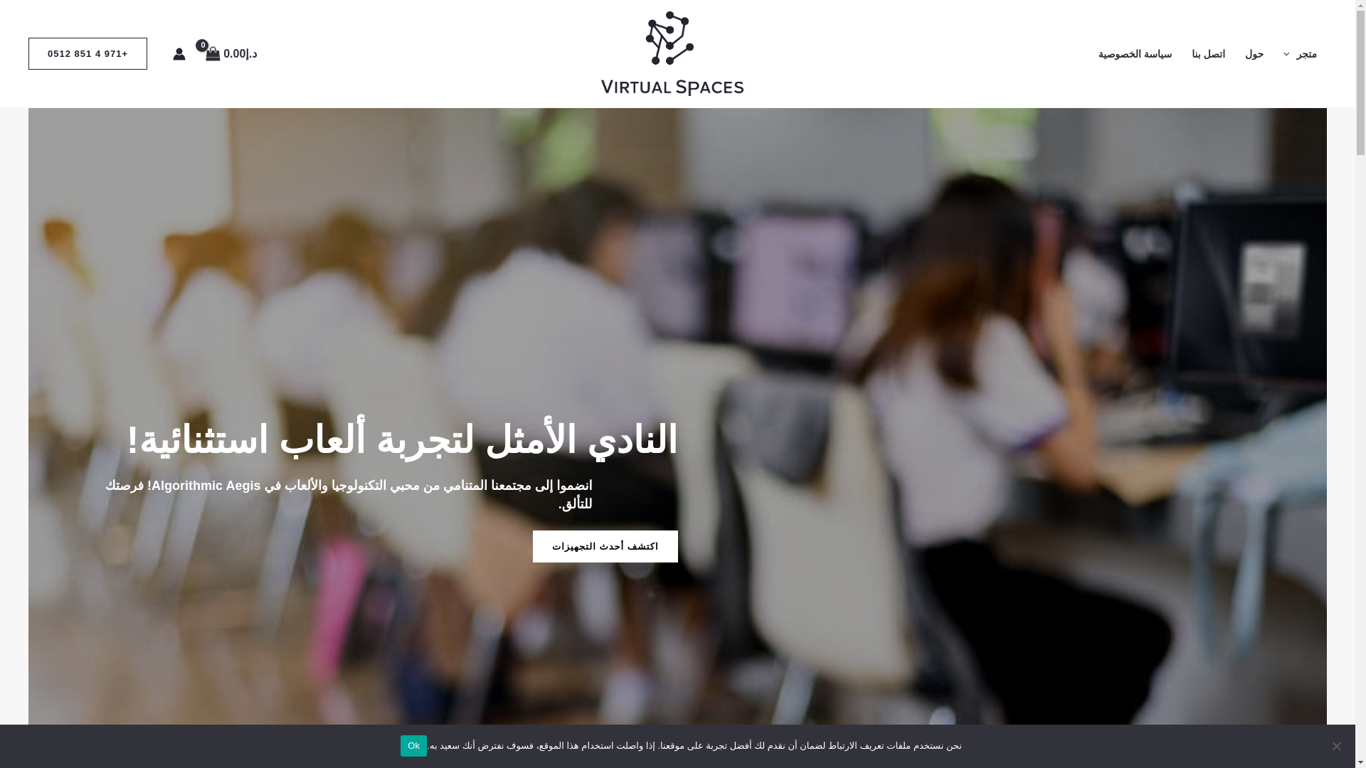 website screenshot of https://algorithmicaegis.site/