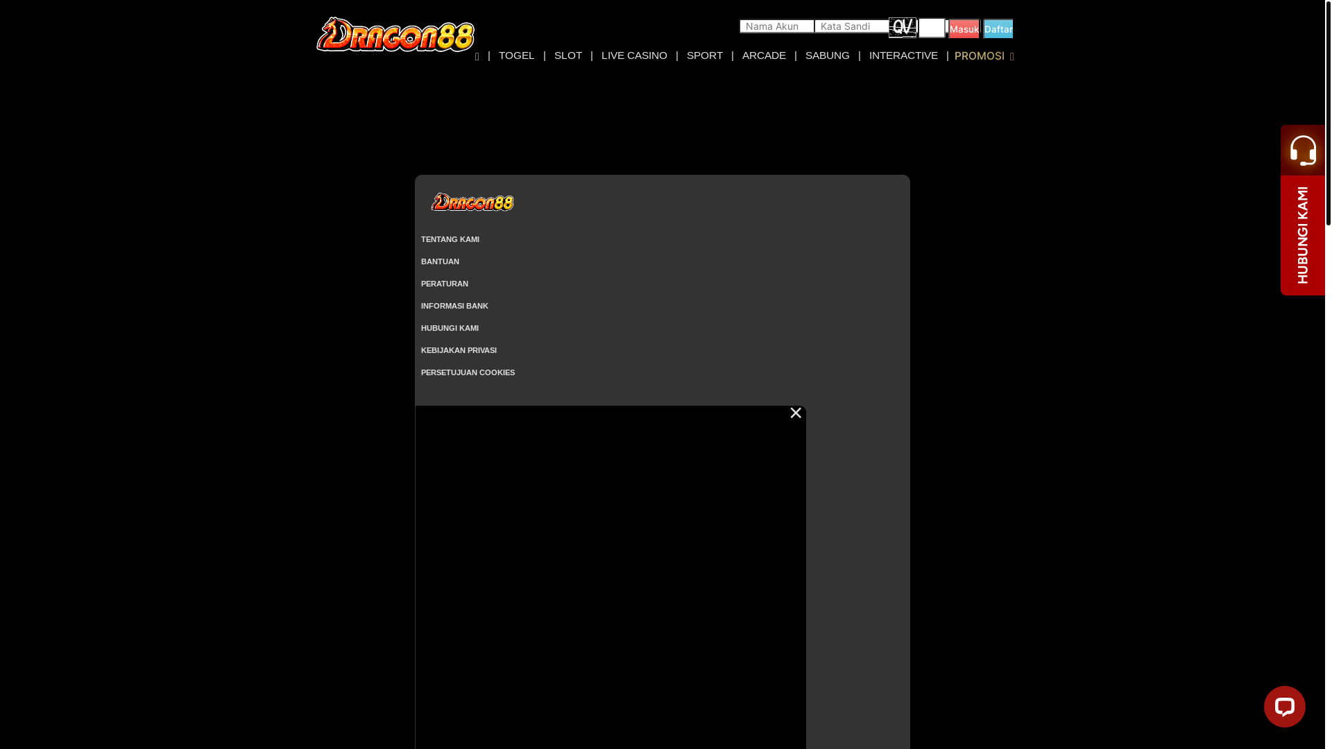 website screenshot of https://dragon88team.com/