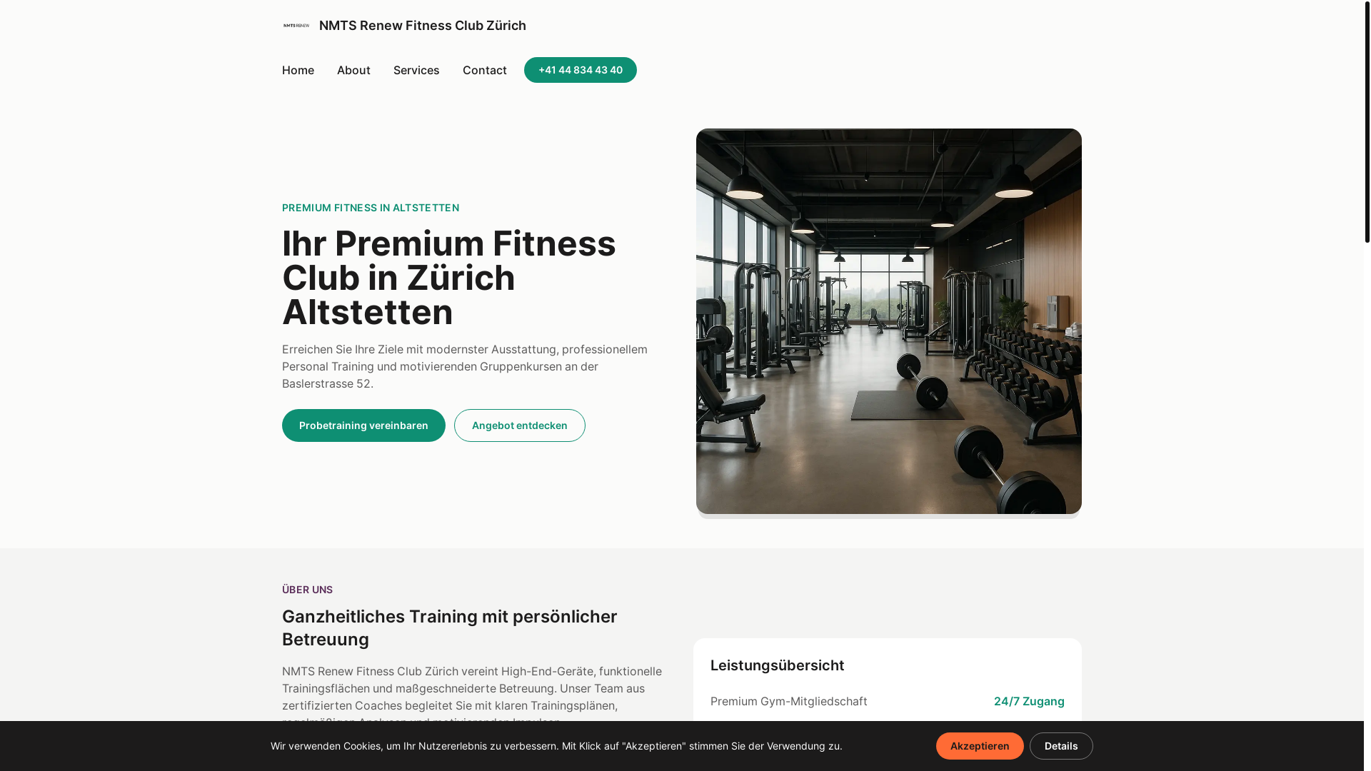 website screenshot of https://nmtsrenew.shop/