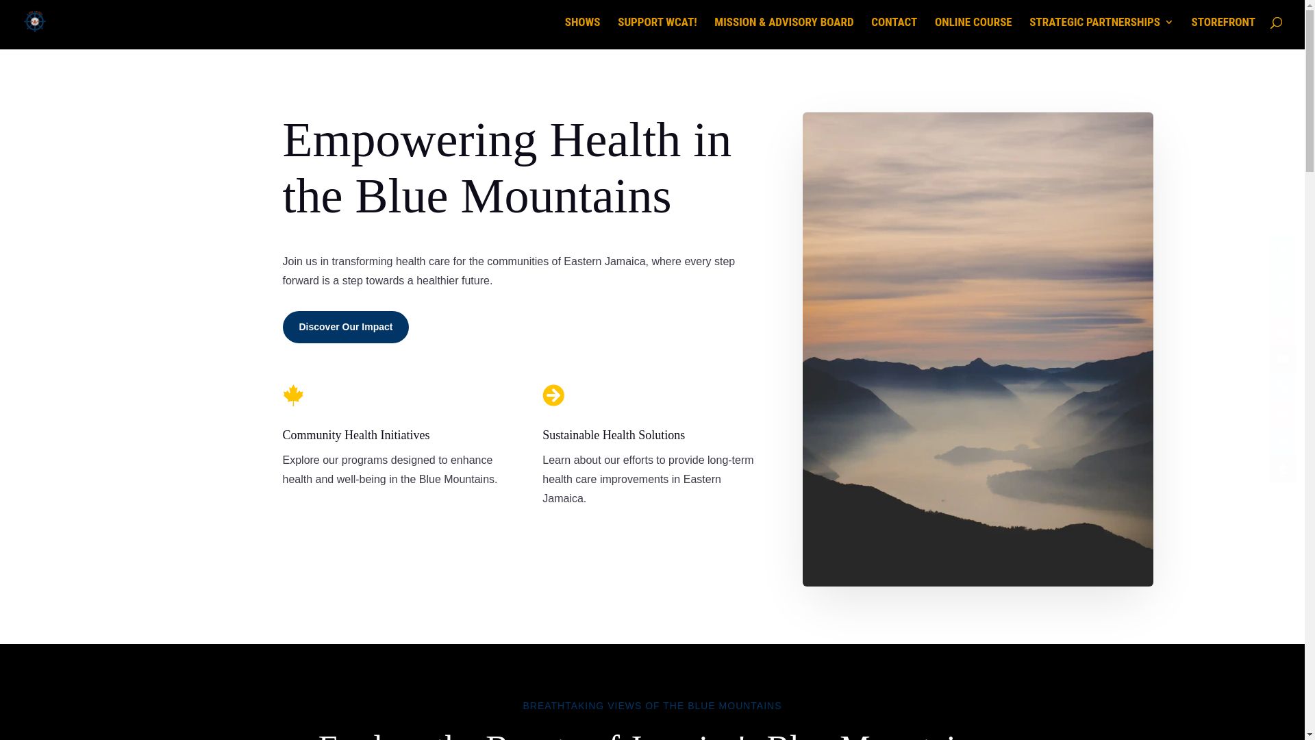 website screenshot of https://miadibescares.org/