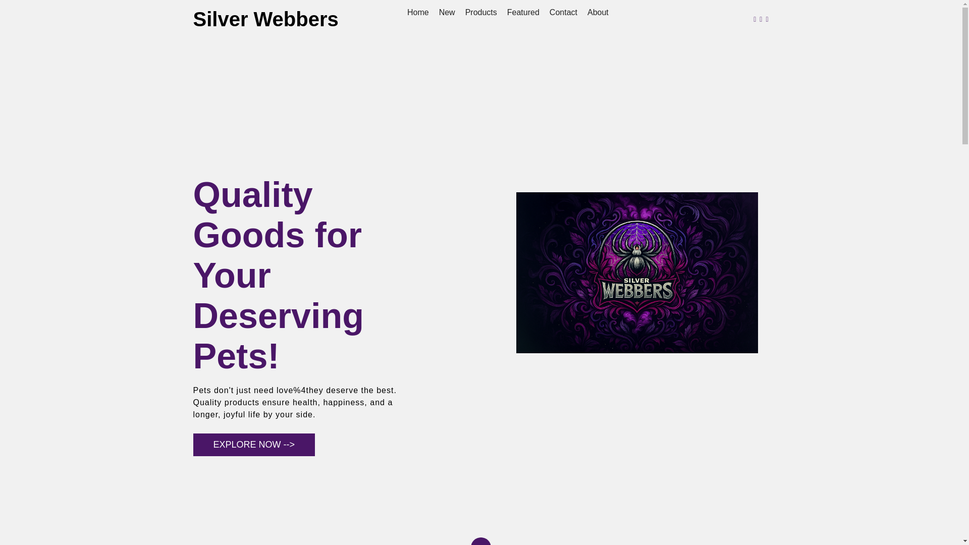 website screenshot of https://silverwebberswe.pages.dev/
