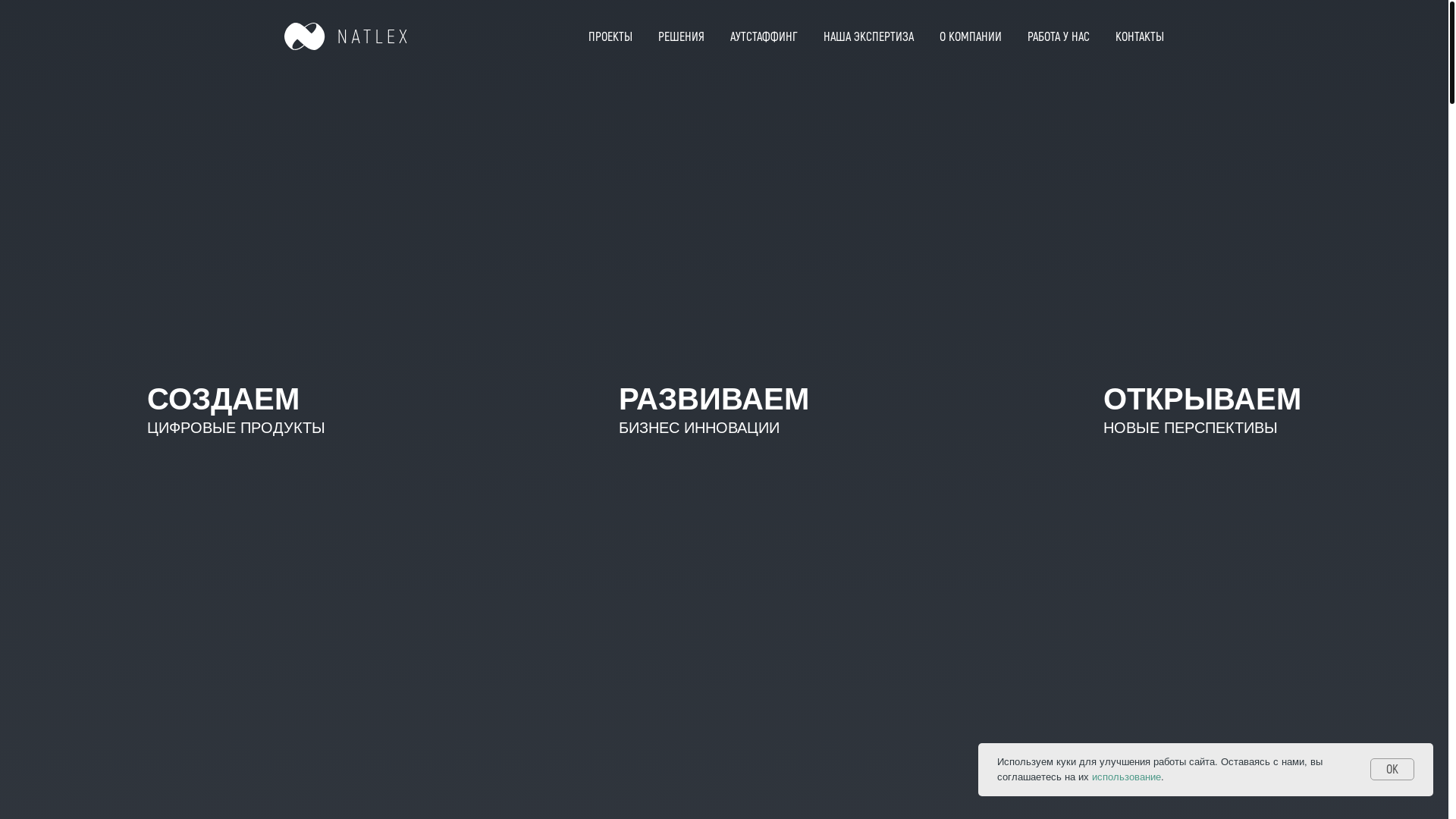 website screenshot of https://natlex-tech.ru/