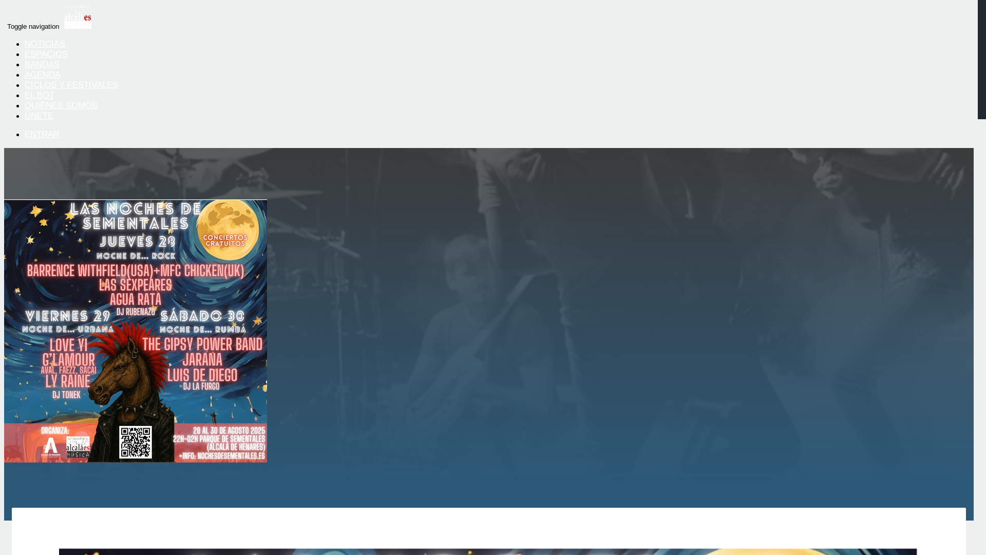 website screenshot of https://nochesdesementales.es/