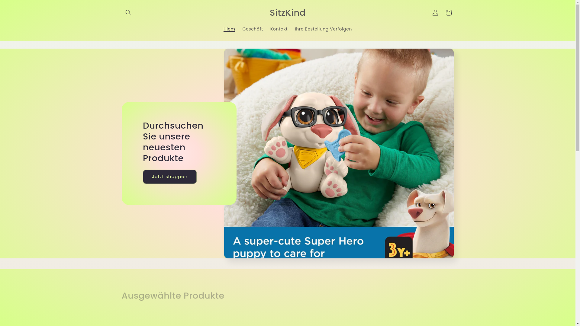 website screenshot of https://sitzkind.shop/