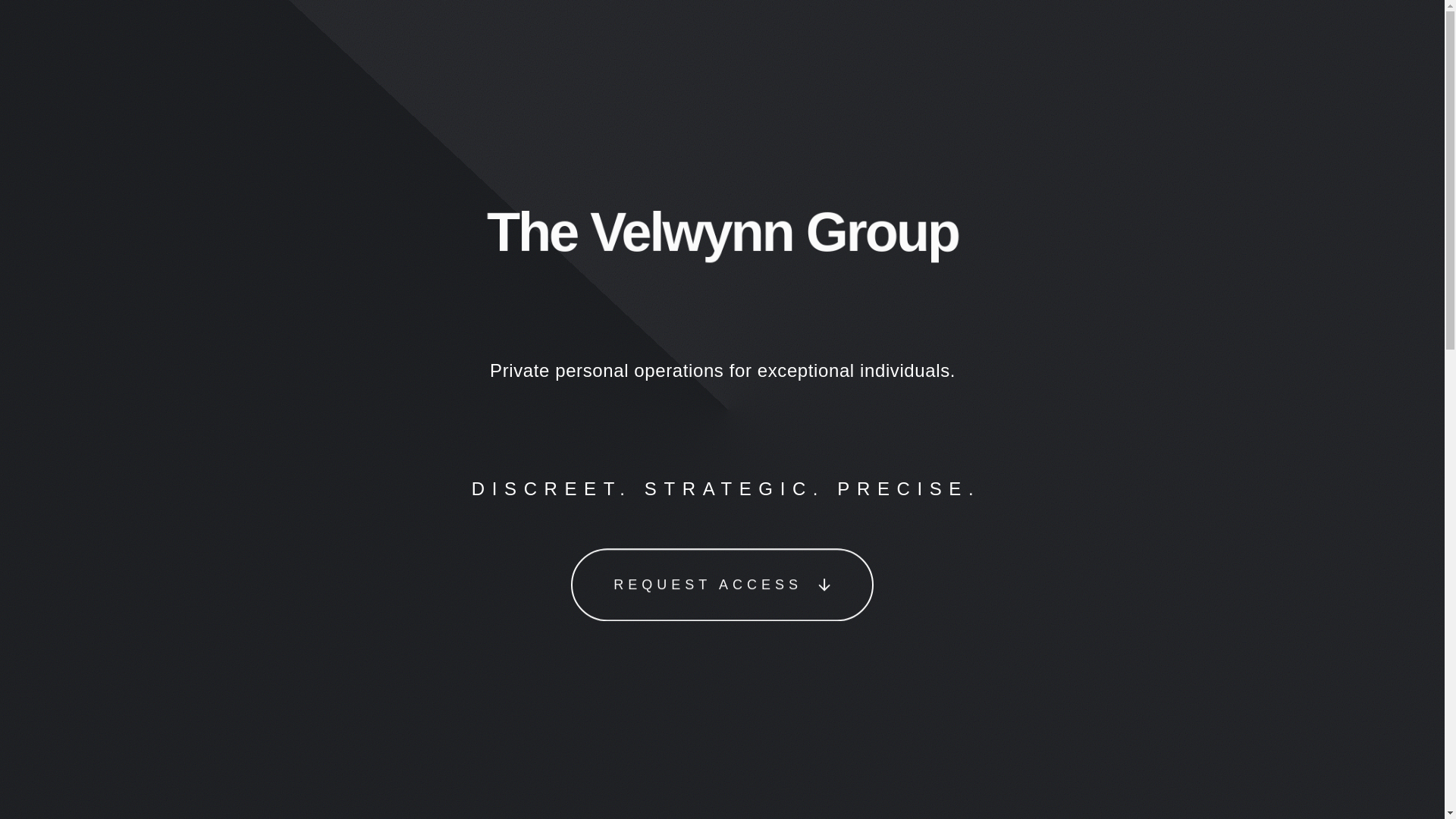 website screenshot of https://thevelwynngroup.com/