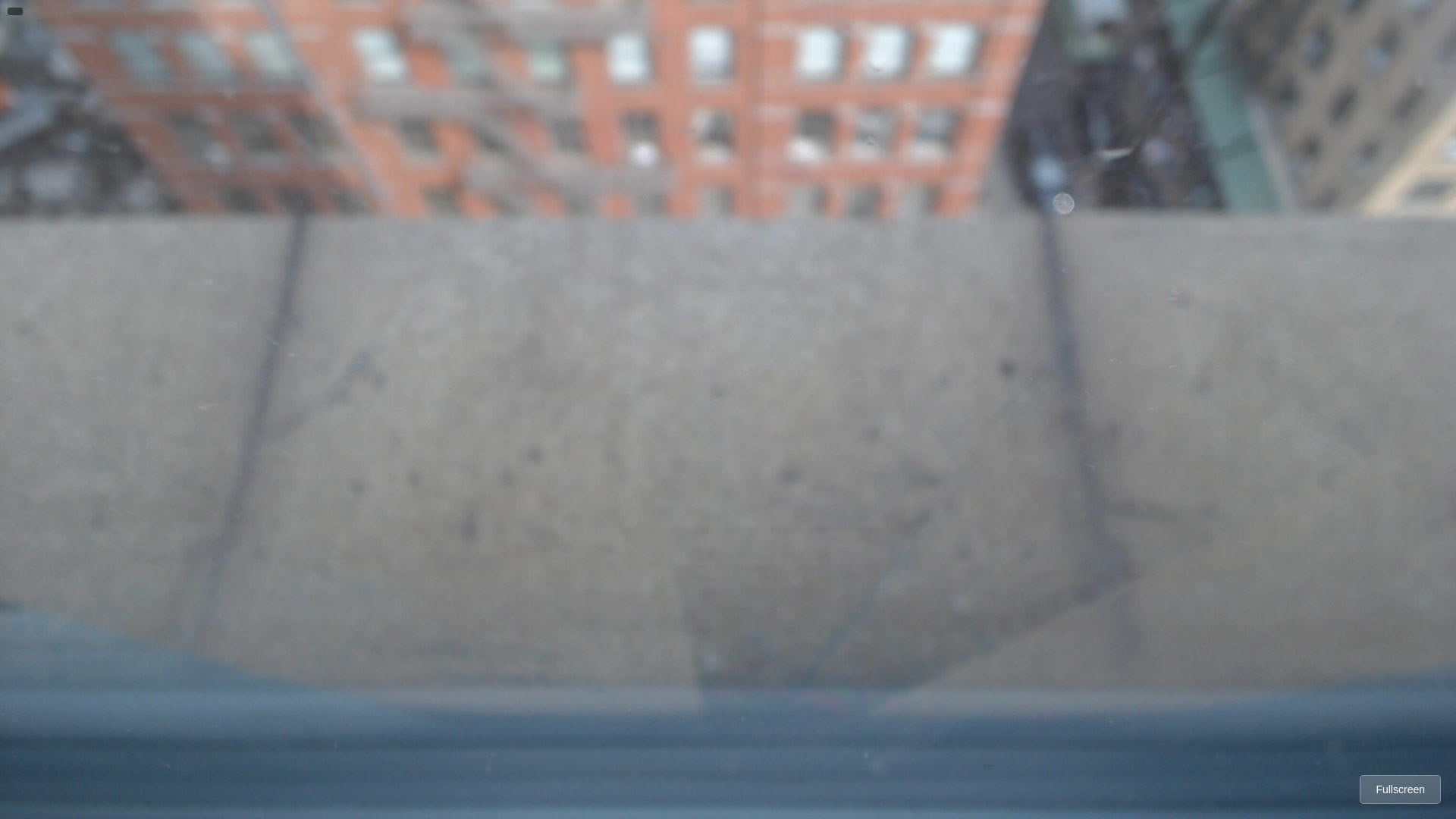 website screenshot of https://losercam.nyc/