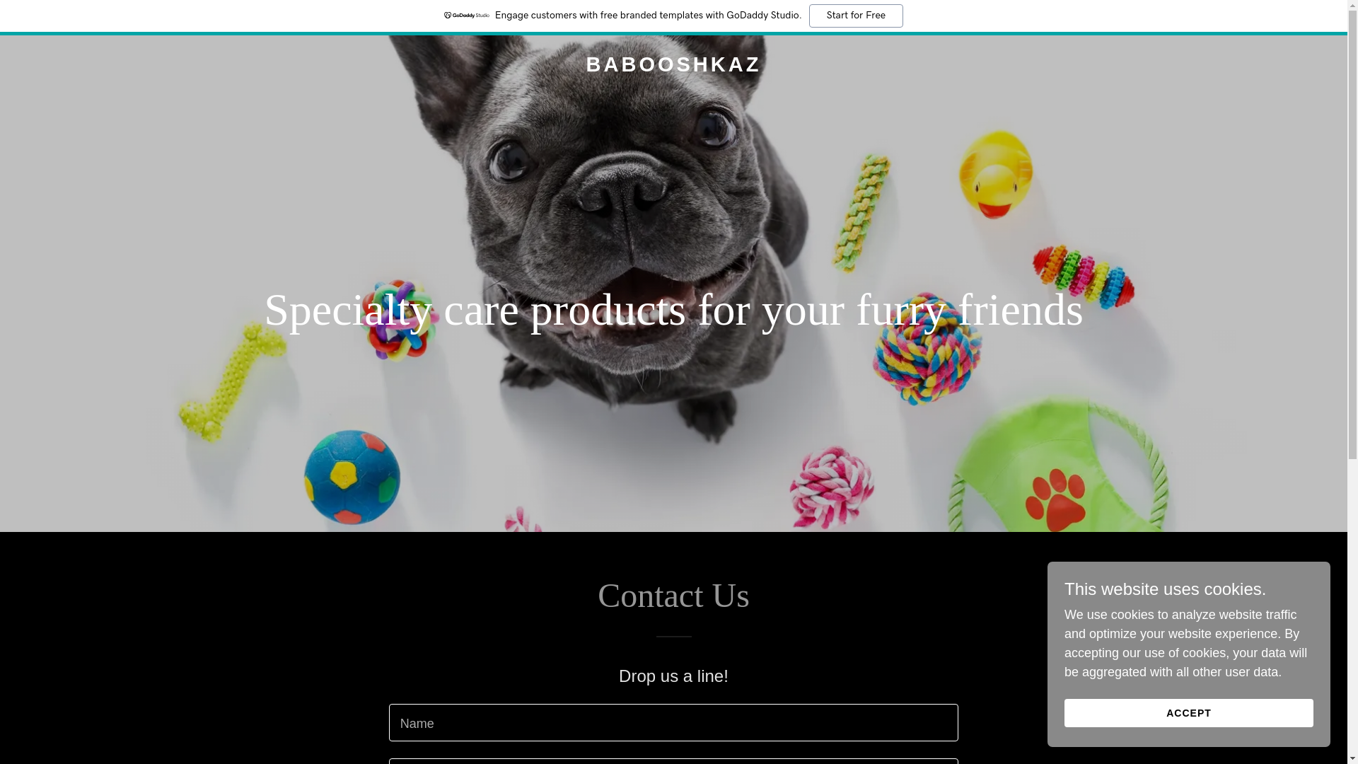 website screenshot of https://babooshkaz.com/