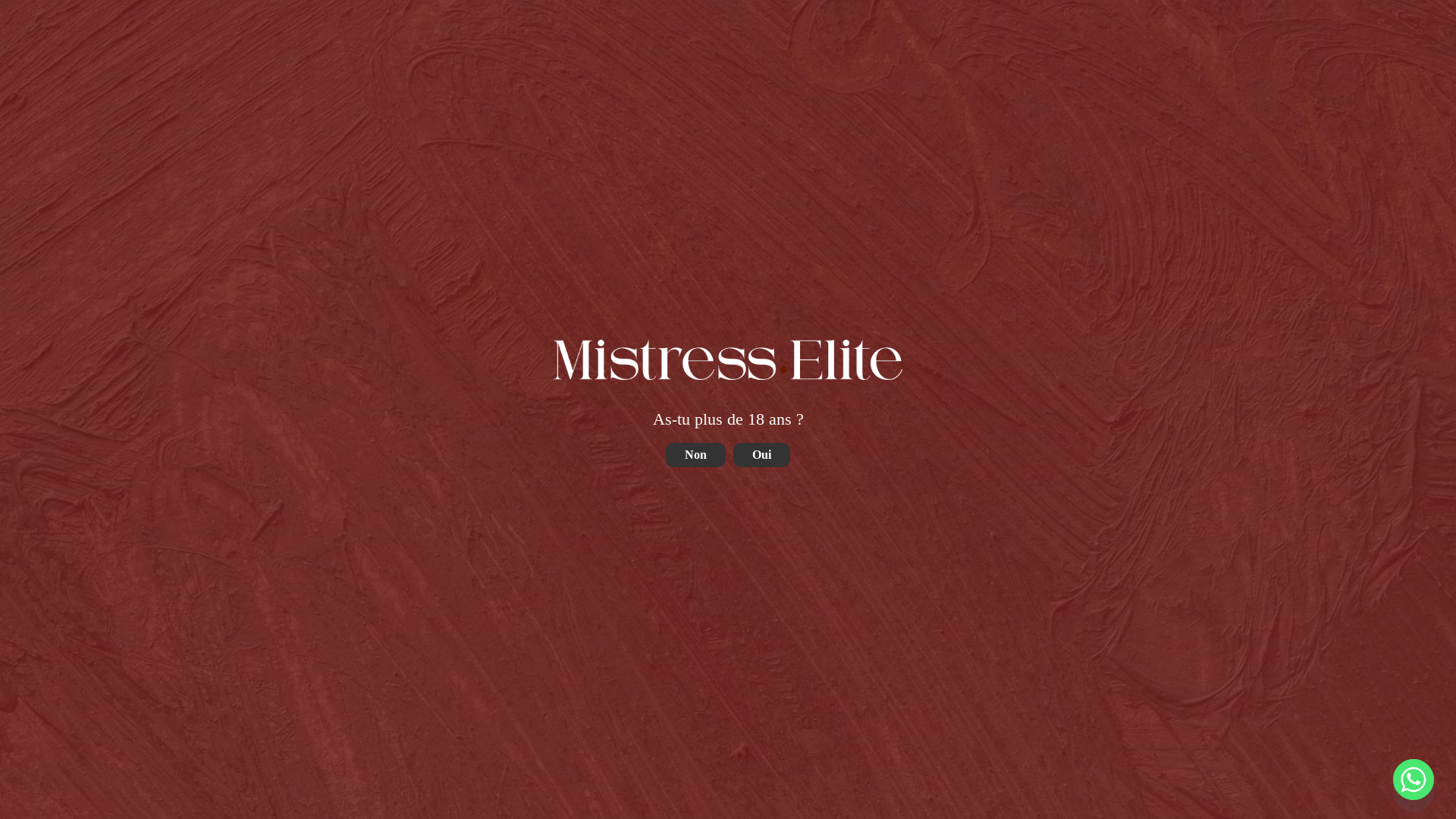 website screenshot of https://maitresselite.com/fr/