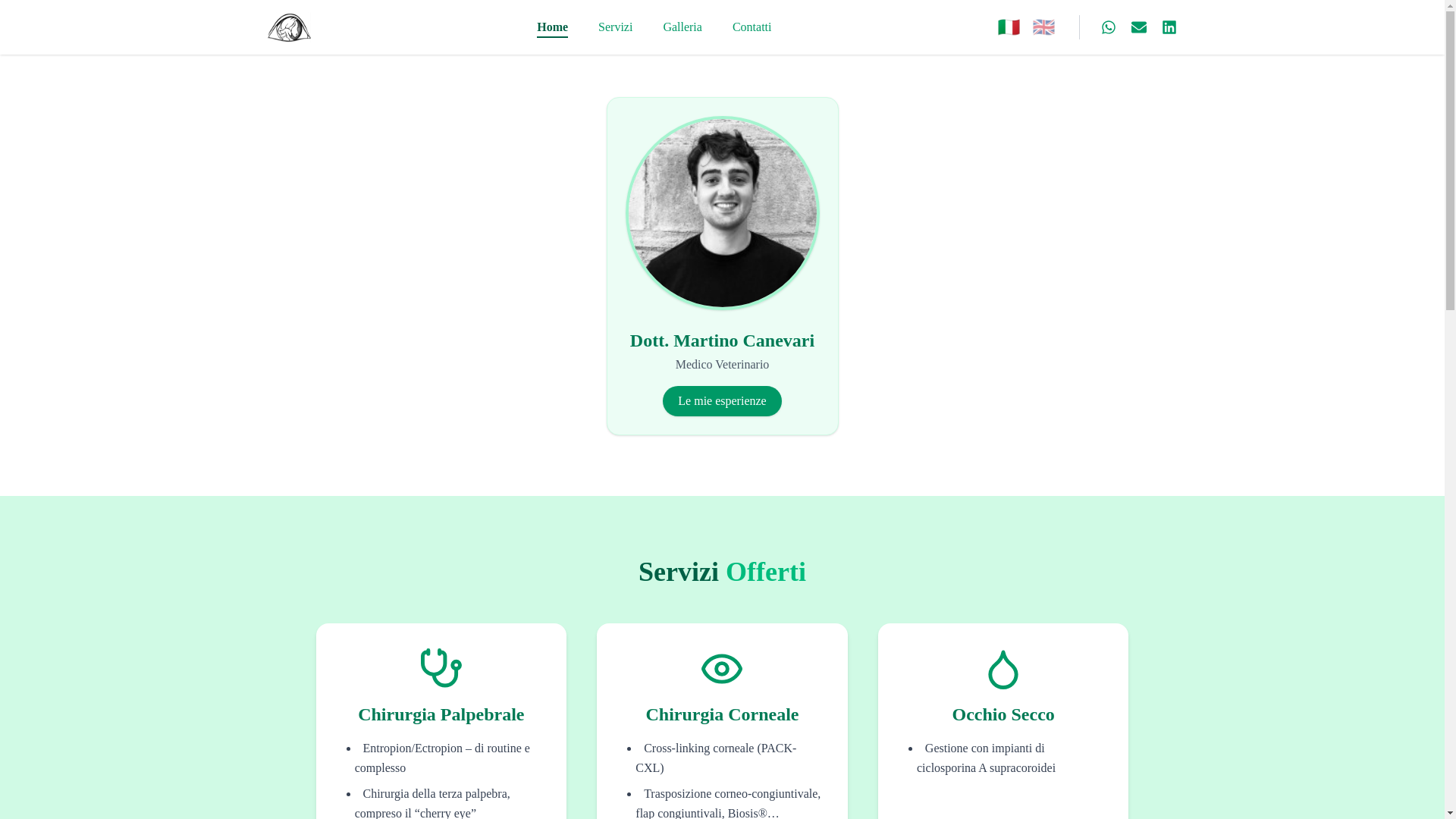 website screenshot of https://martinocanevari.com/