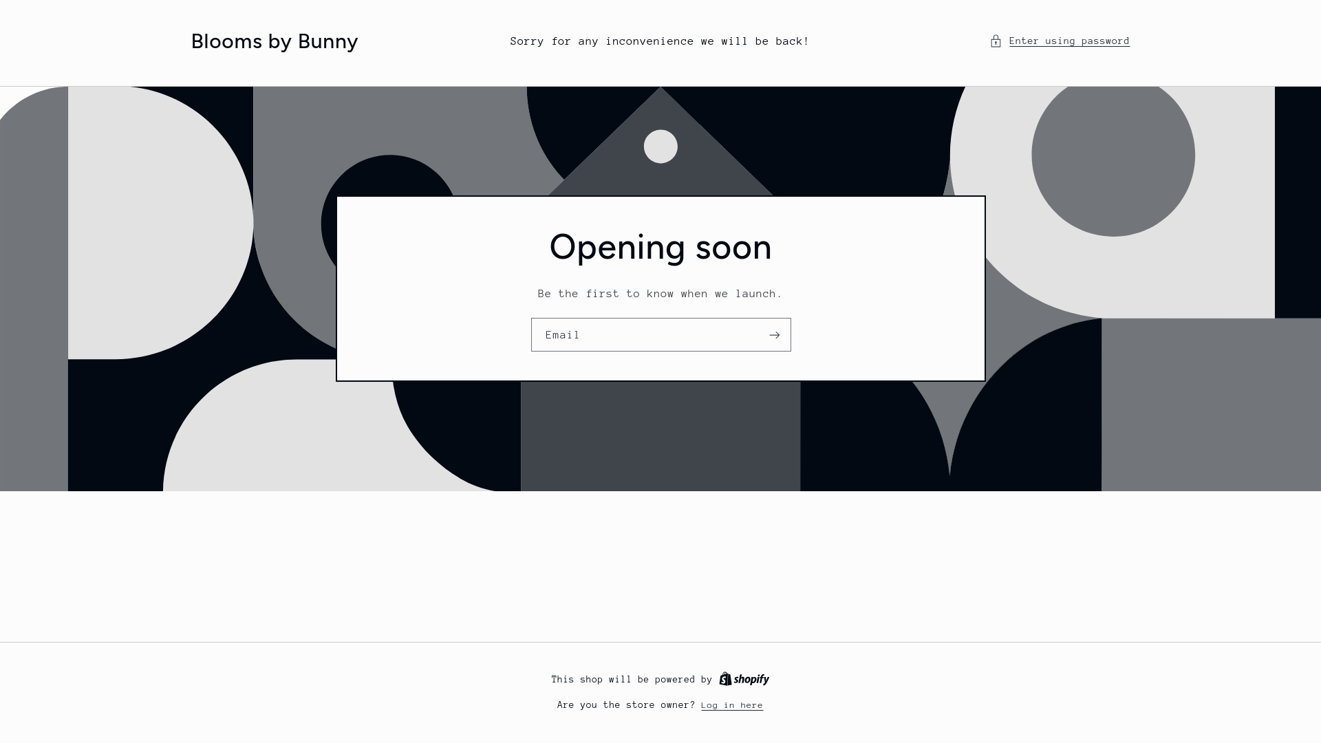 website screenshot of https://bloomsbybunny.com/